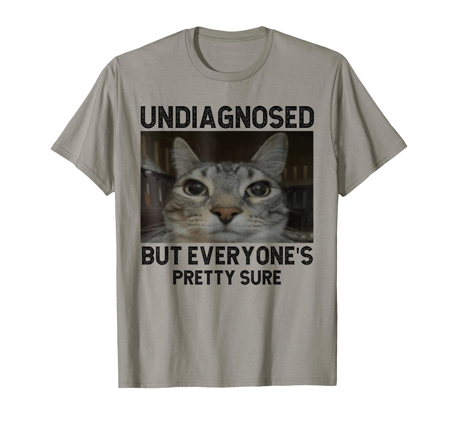 Undiagnosed But Everyone's Pretty Sure Funny Silly Cat Meme T-Shirt