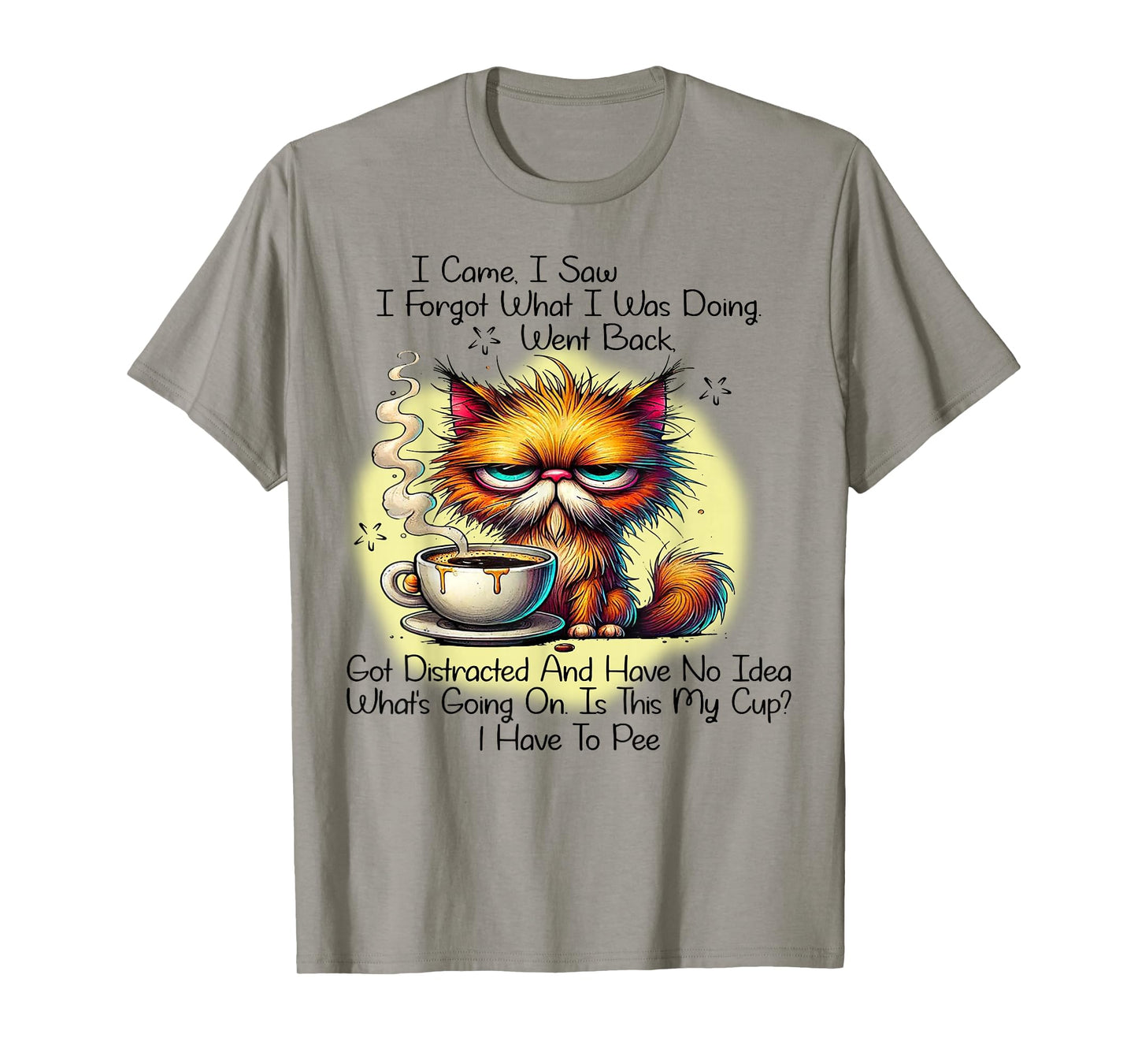 Cat I Came I Saw I Forgot What I Was Doing Went Back T-Shirt