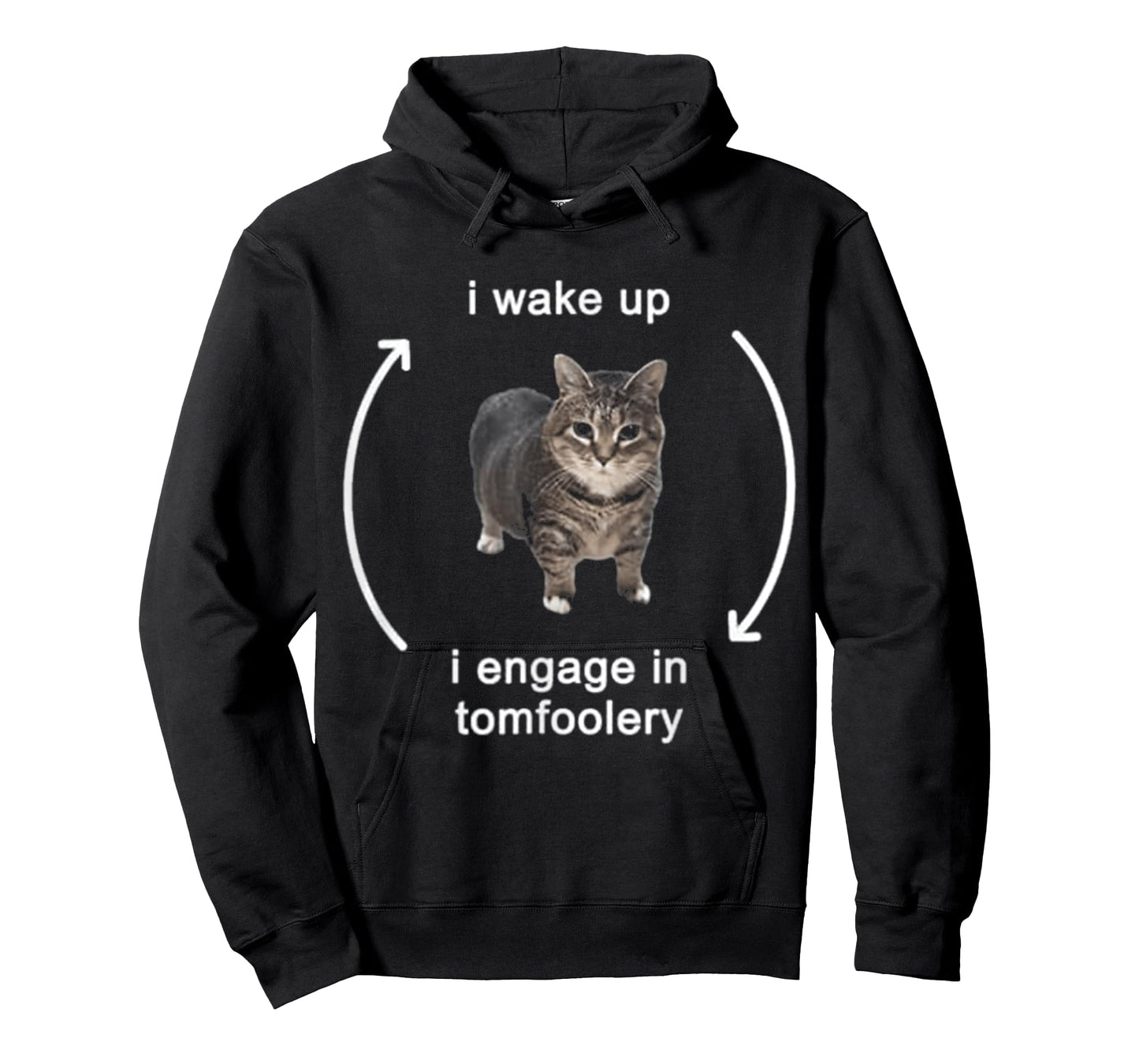 I Wake Up I Engage In Tomfoolery Cat FUNNY MEME T-Shirt for Men Women Kids