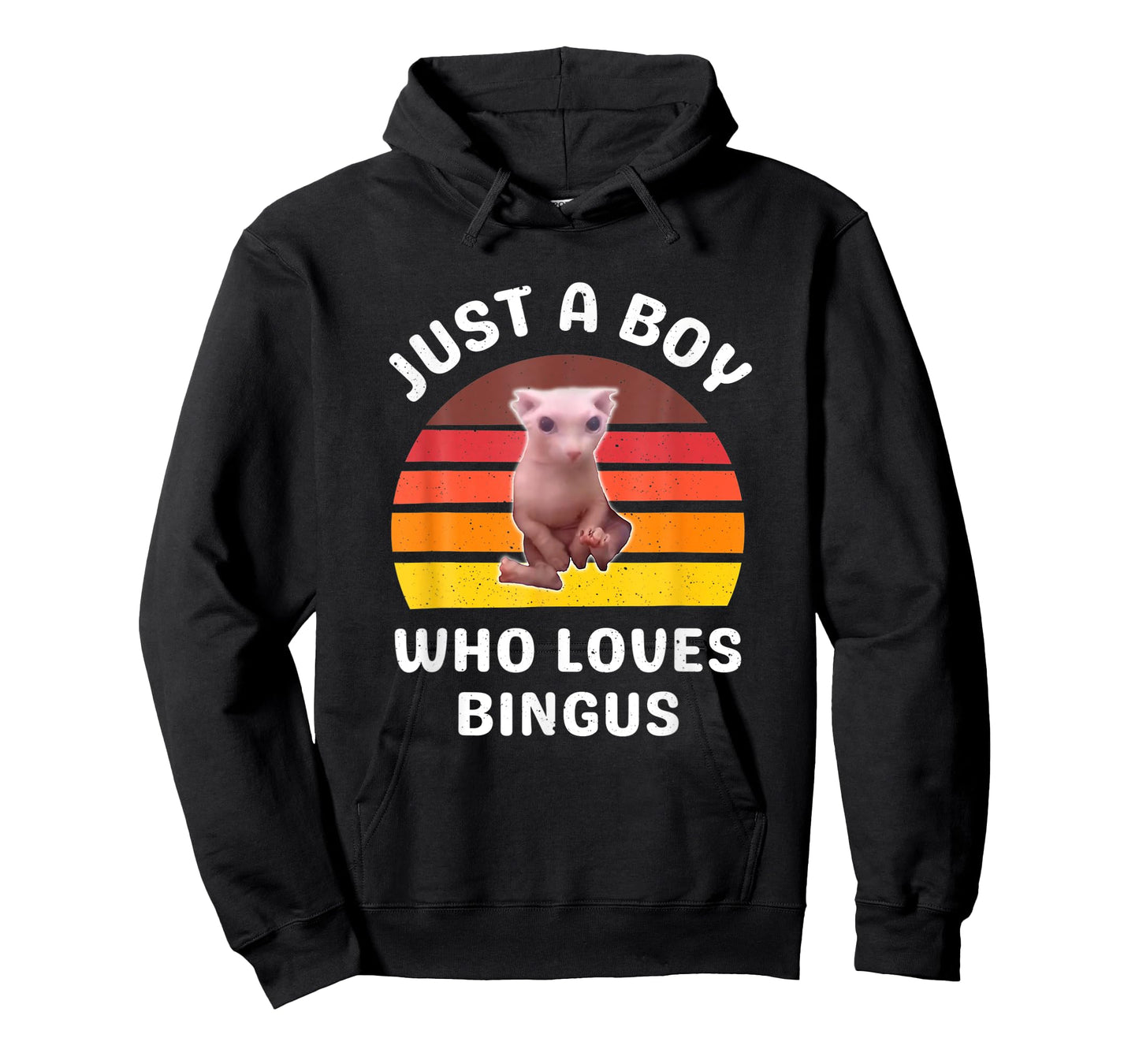 Just A Boy Who Loves Bingus Funny Hairless Sphynx Cat T-Shirt