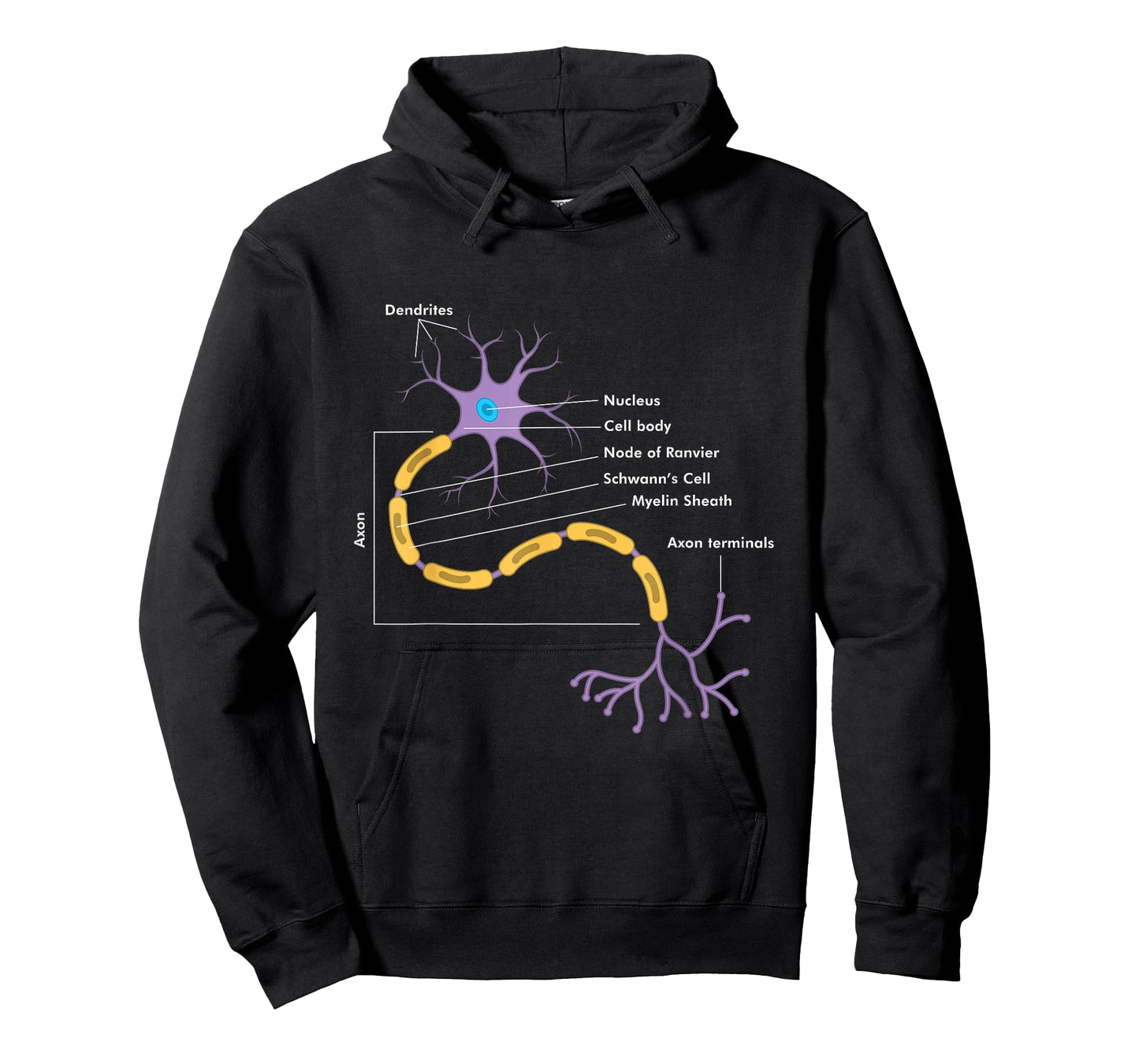 Anatomy Of Neuron Neurologist Gift T-Shirt