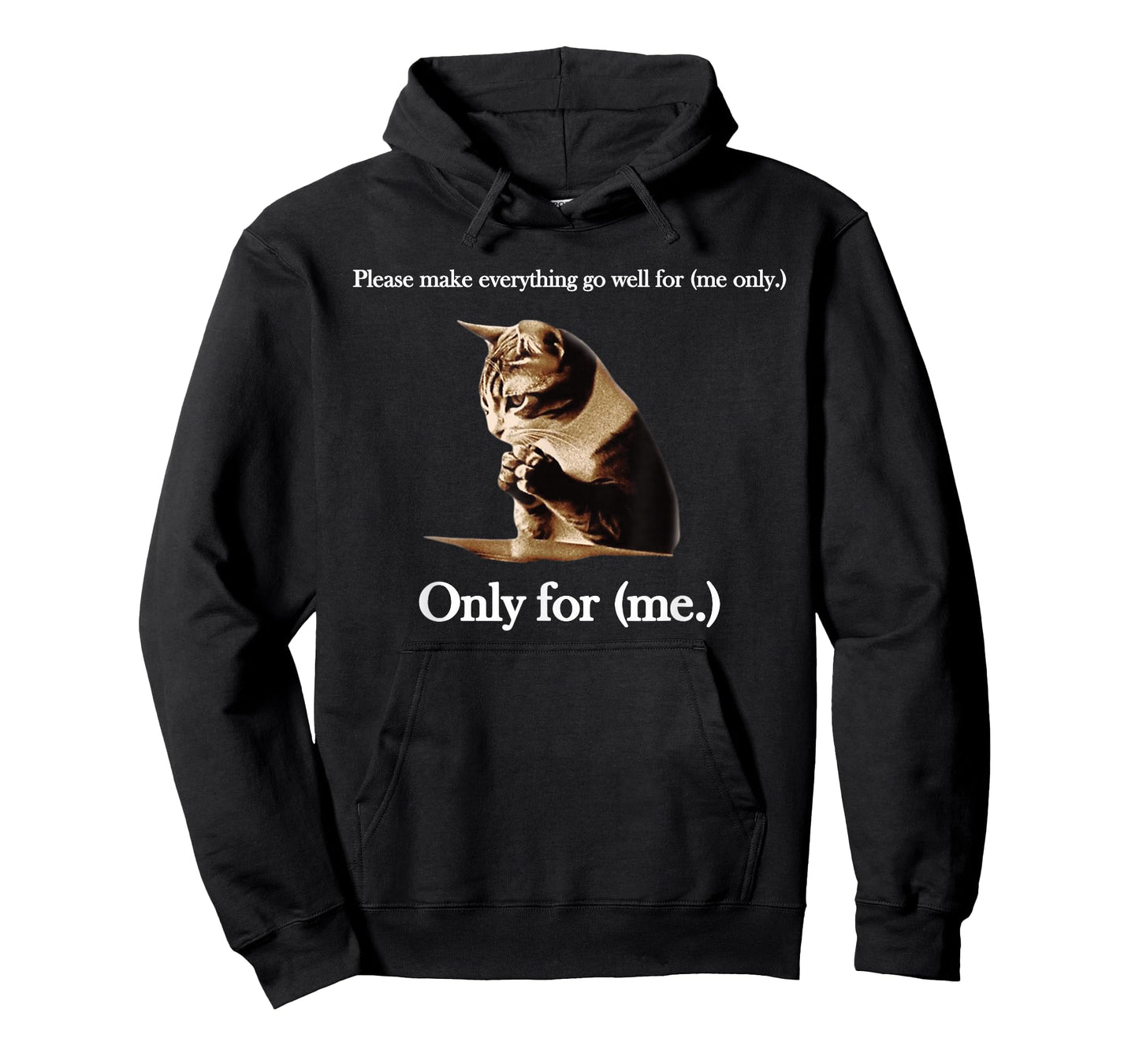 Please Make Everything Go Well For (me only.) Cat Saying T-Shirt