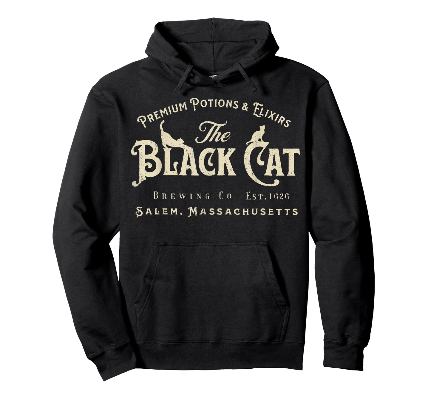 The Black Cat Witchy Salem Est 1626 Halloween Cat Lover Gift T-Shirt