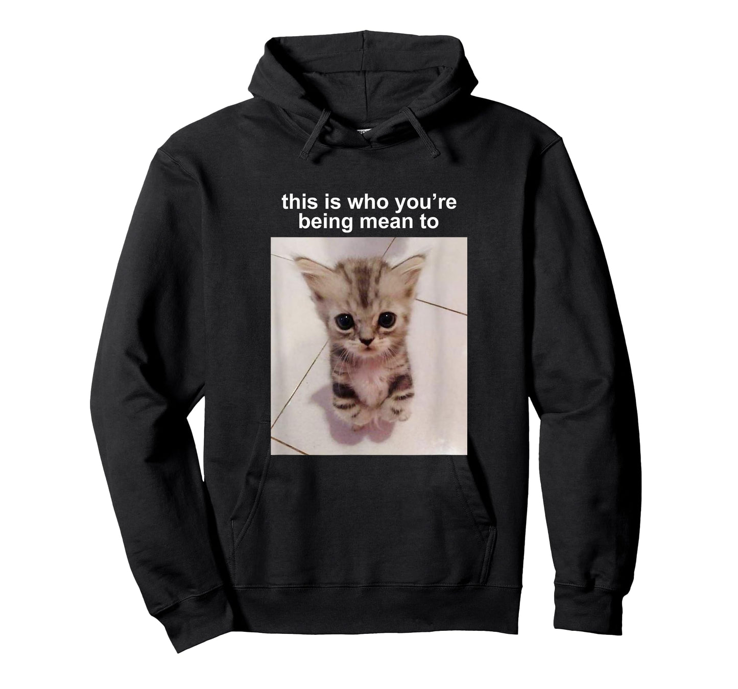 This is Who You're Being Mean to Silly Cat Meme T-Shirt