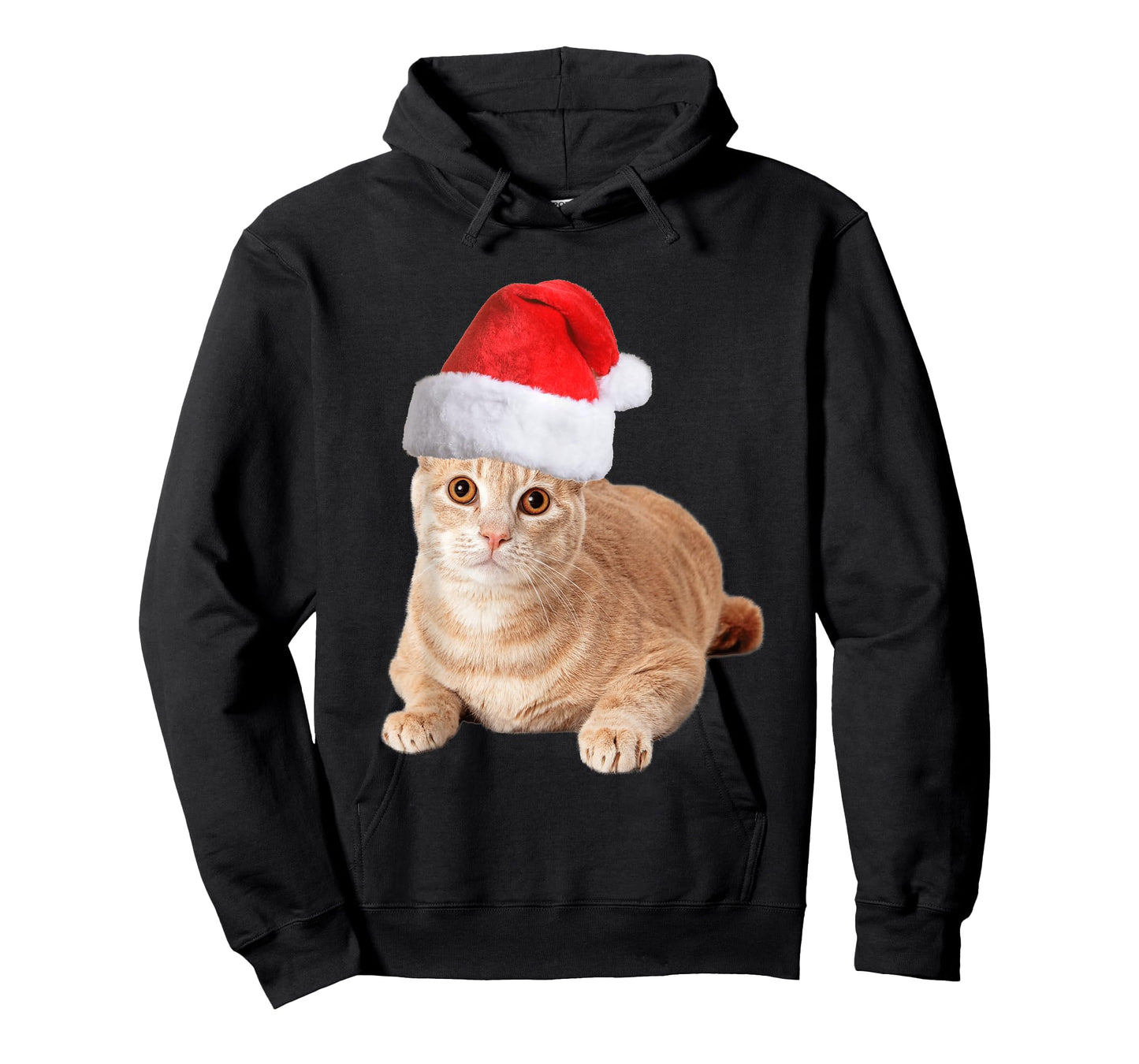 Orange Tabby Cat With Christmas Santa Hat For Women Men T-Shirt