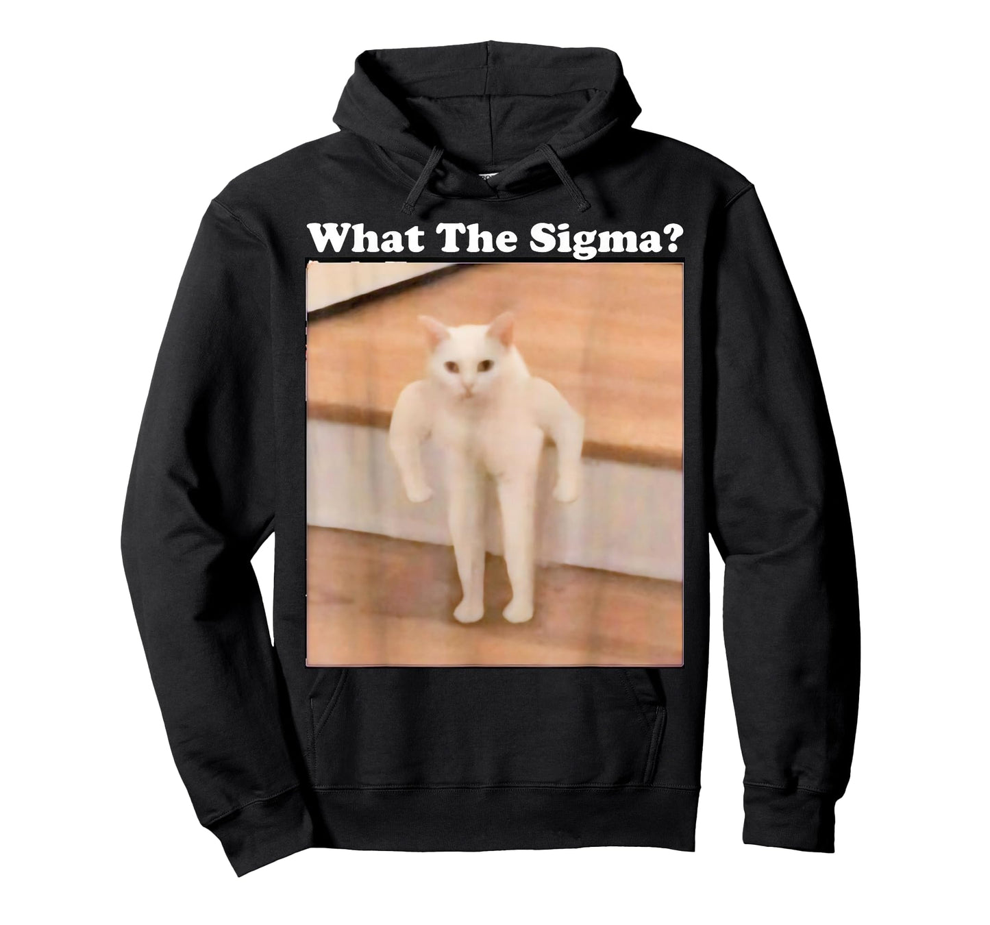 What Sigma Meme Cat Meme Internet Memes Funny Meme Gen Z Pun T-Shirt