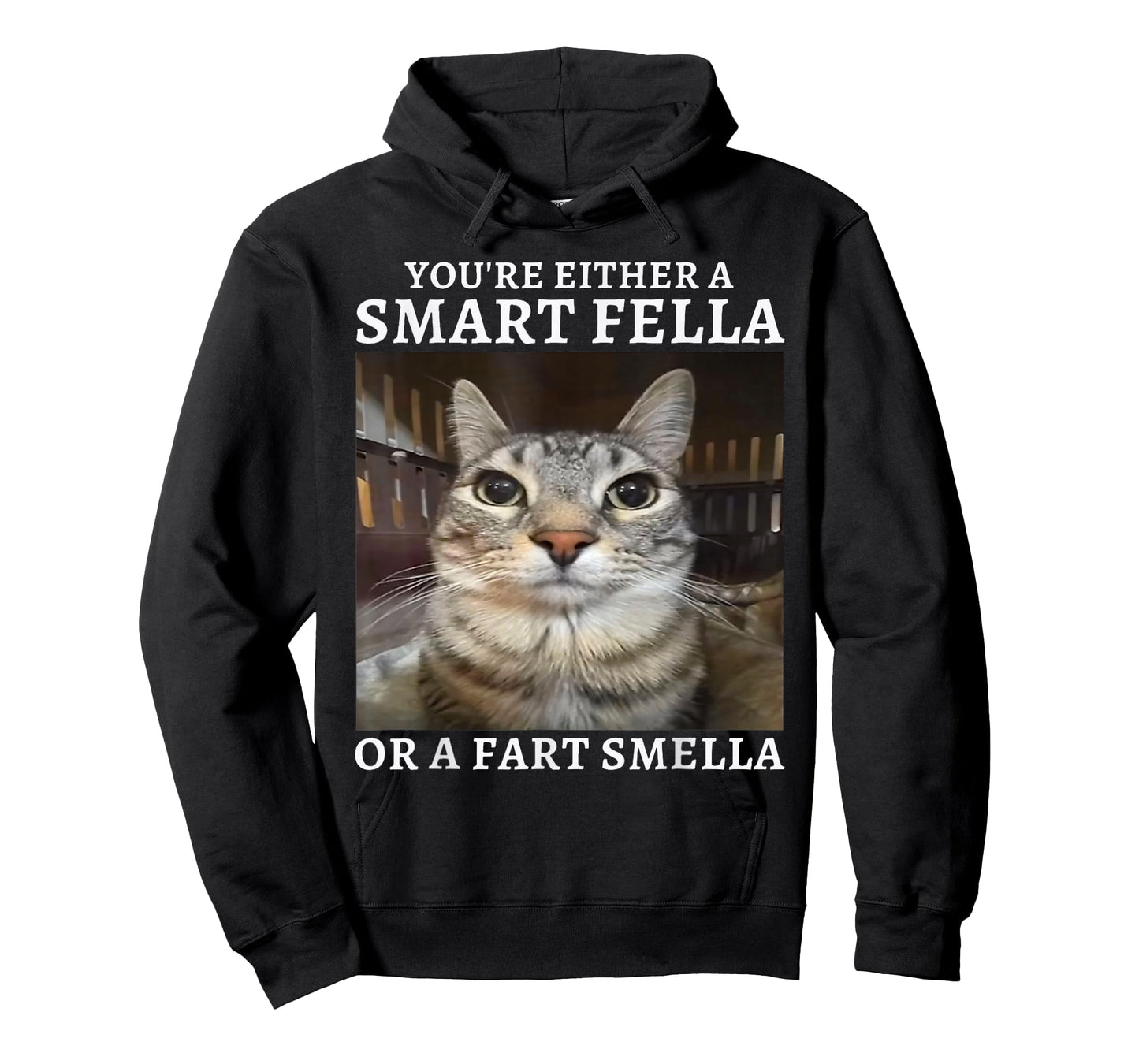 You're Either a Smart Fella or a Fart Smella Funny Cat Meme T-Shirt