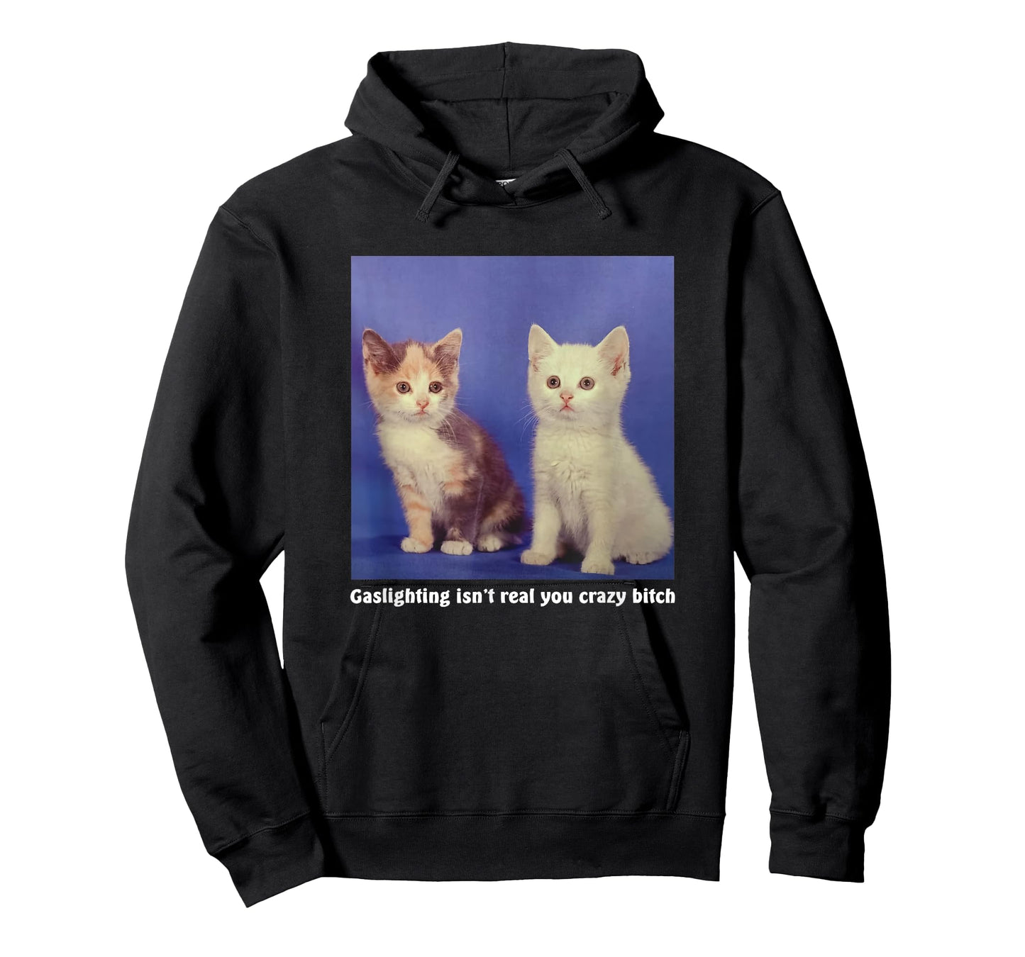 Gaslighting Isn't Real You Crazy B.I.T.C.H Funny Cat Lover T-Shirt for Men Women