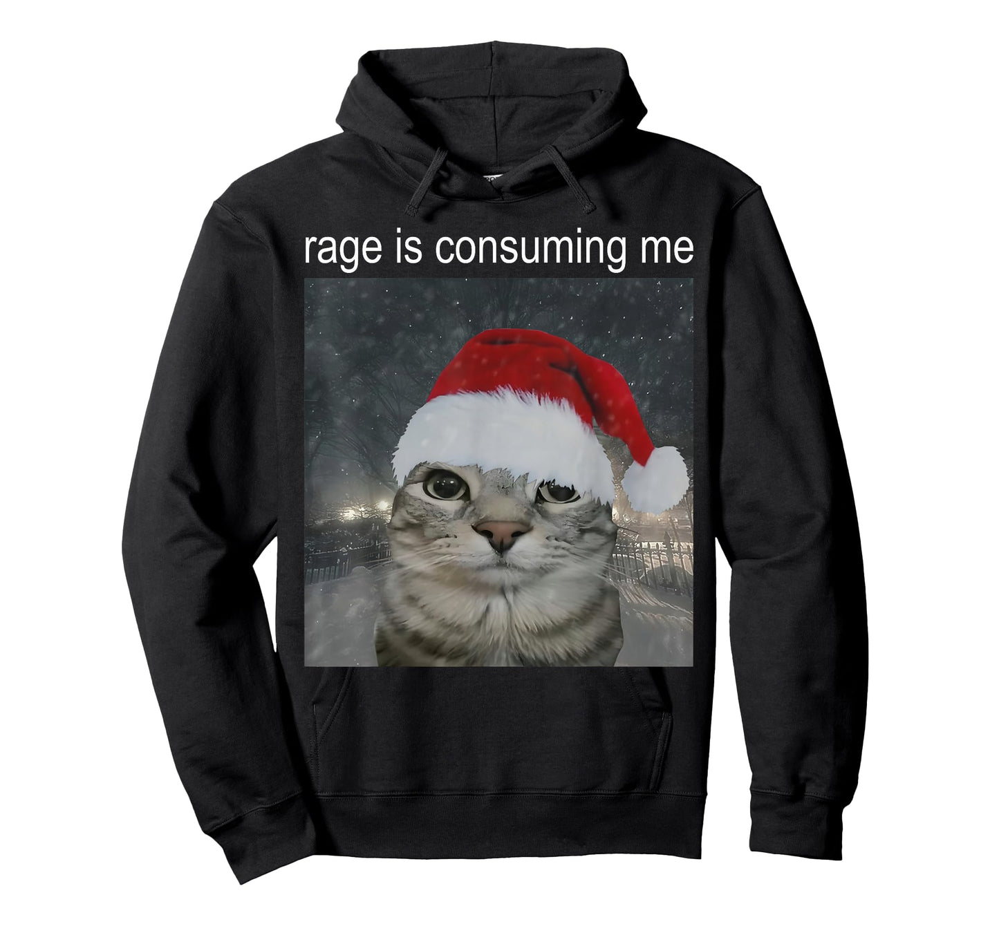 Rage Consumes Me Funny Christmas Cat Meme Women Men T-Shirt