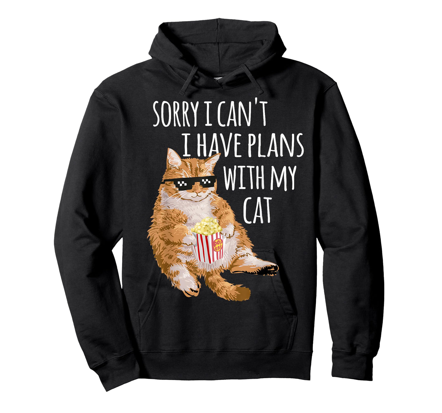 Sorry I Can't I Have Plans With My Cat Funny Cat Lover Gift T-Shirt