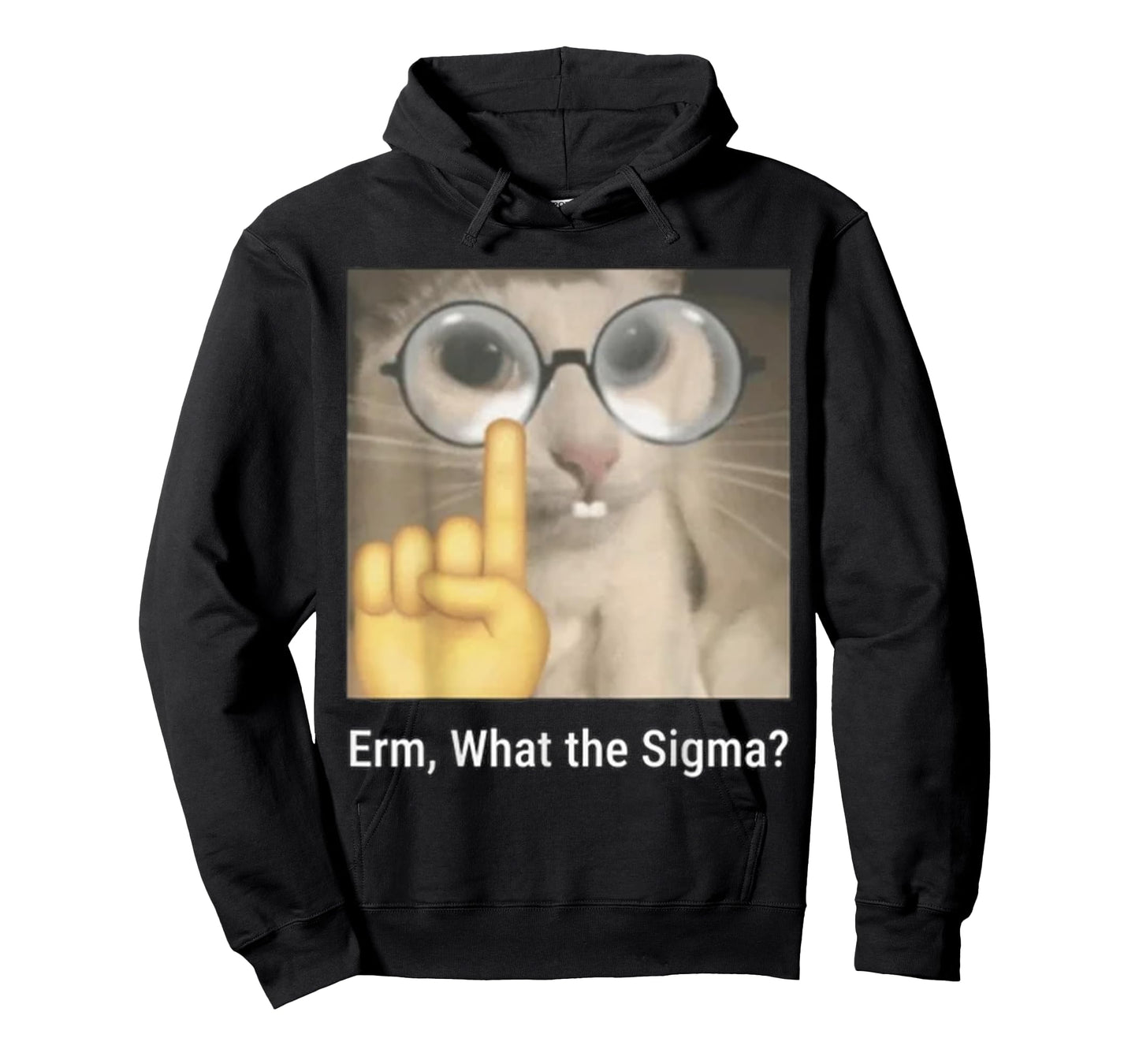 Cat Funny Erm, What The Sigma? Cat Meme Funny T-Shirt