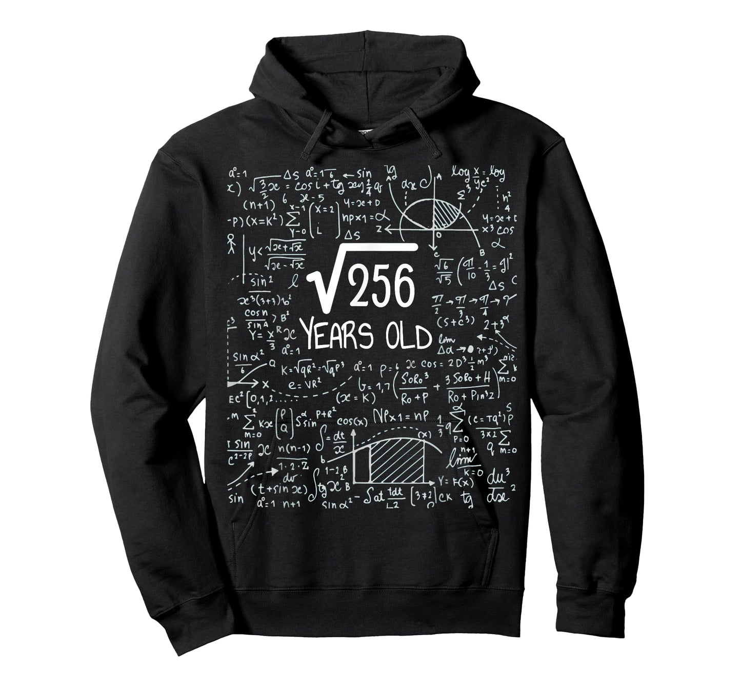 16th Birthday Square Root of 256: 16 Years Old T-Shirt