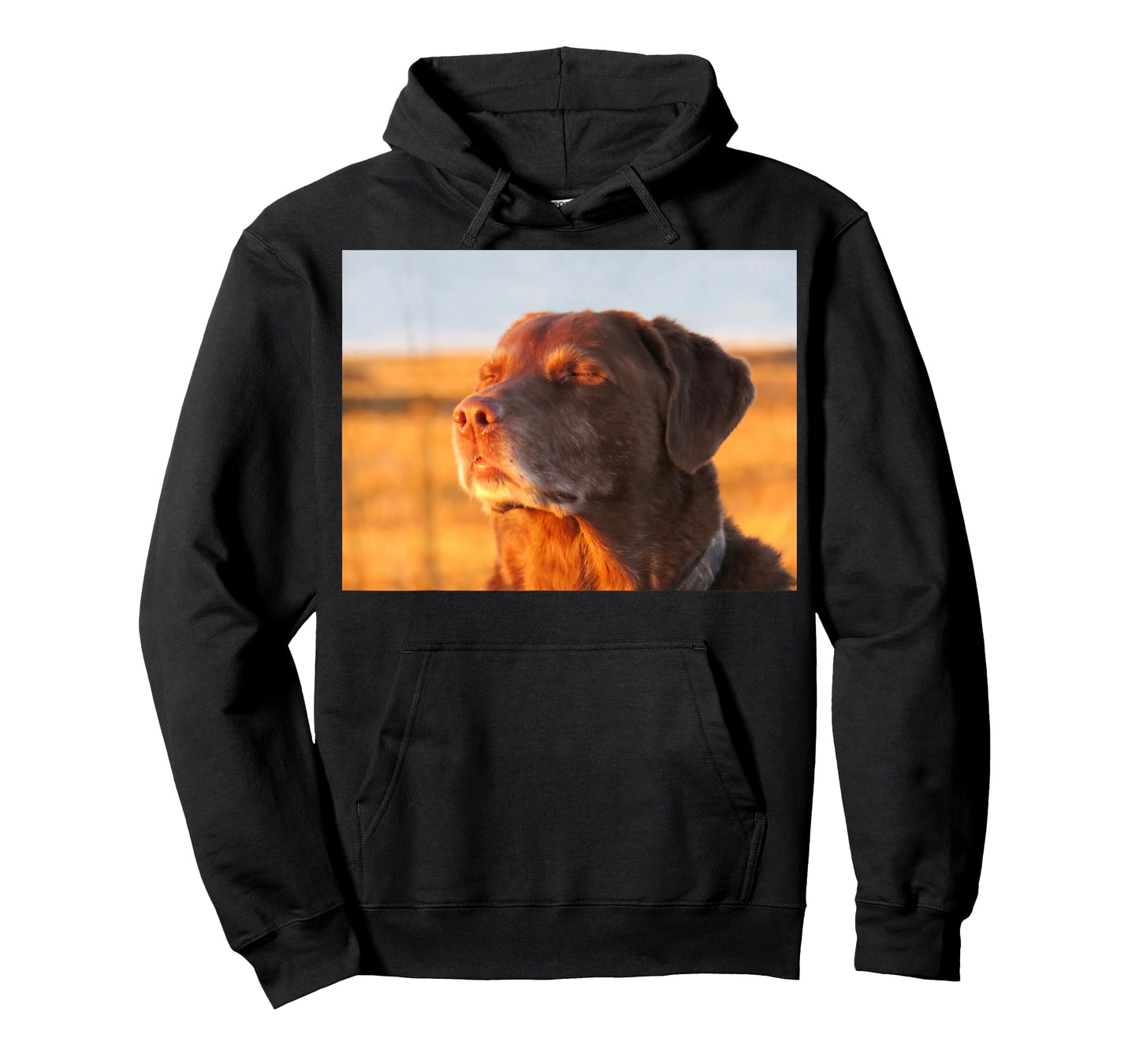 Cooked Dog Meme T-Shirt