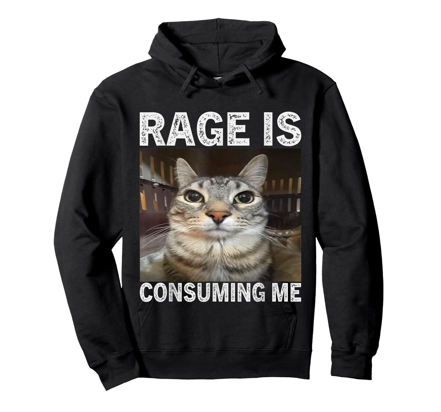 Rage is Consuming Me Silly Staring Cat Meme T-Shirt