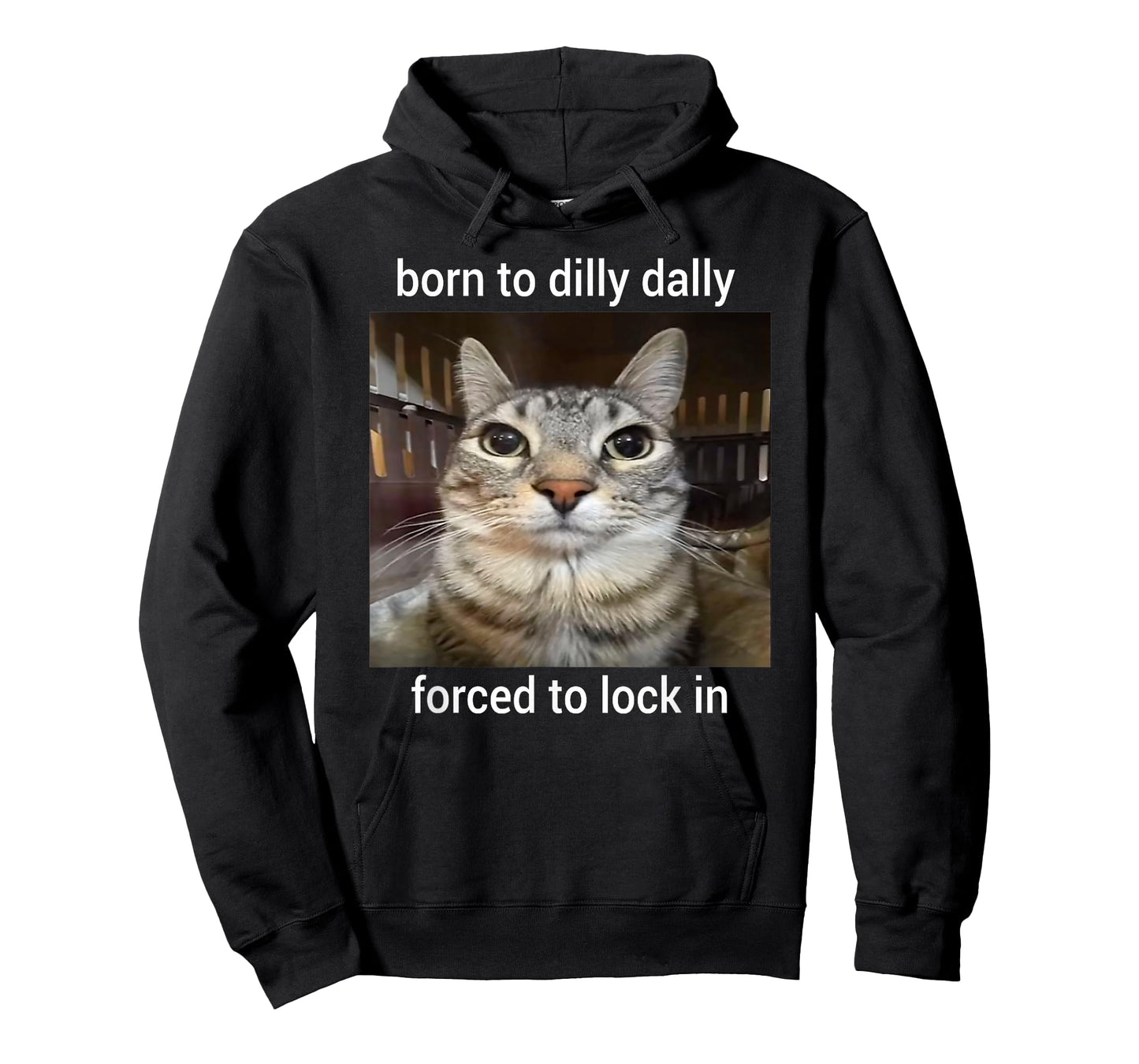 Born To Dilly Dally Forced To Lock In Cat Meme T-Shirt