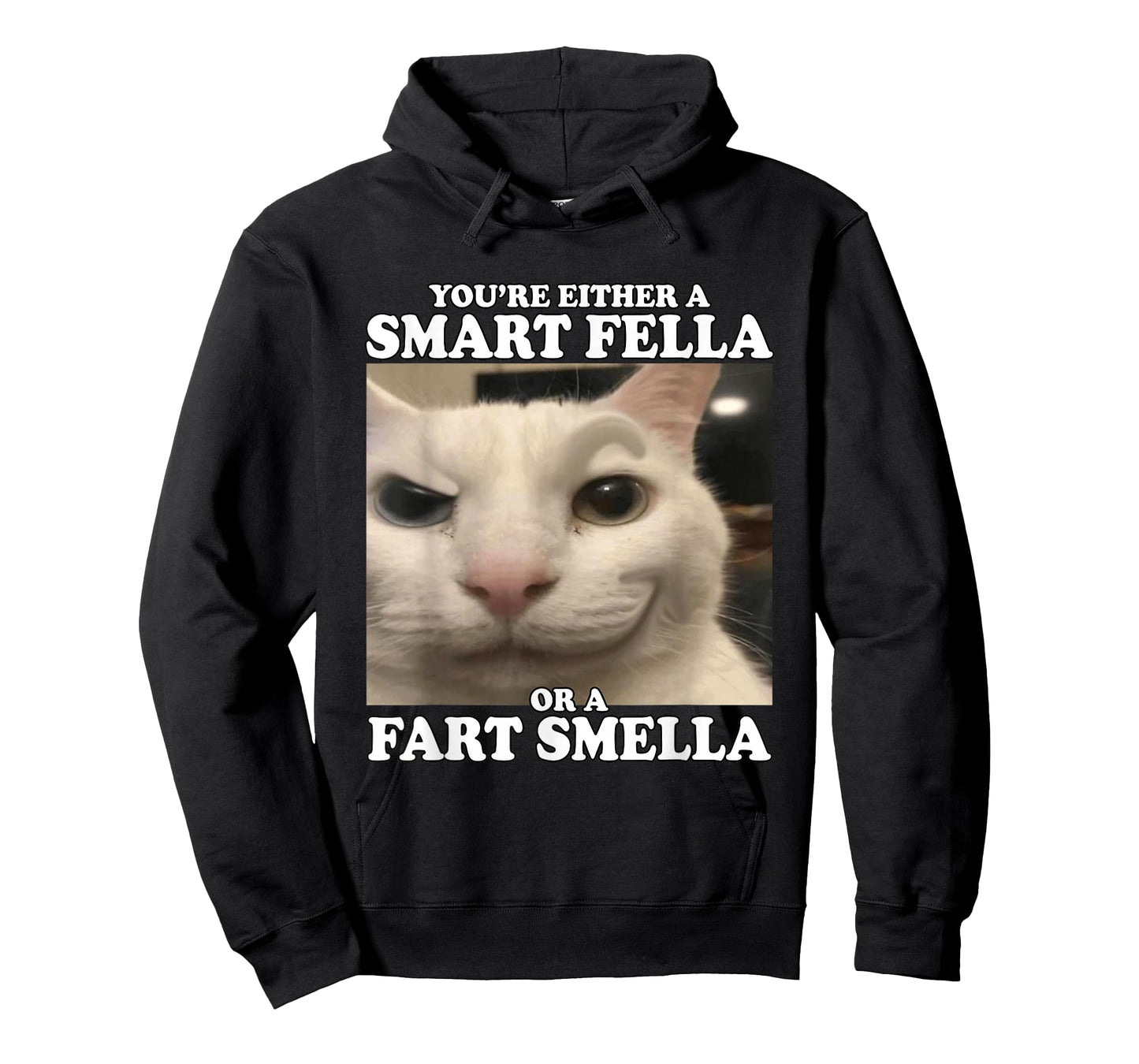 You're Either A Smart Fella Or A Fart Smella Funny Cat Meme T-Shirt