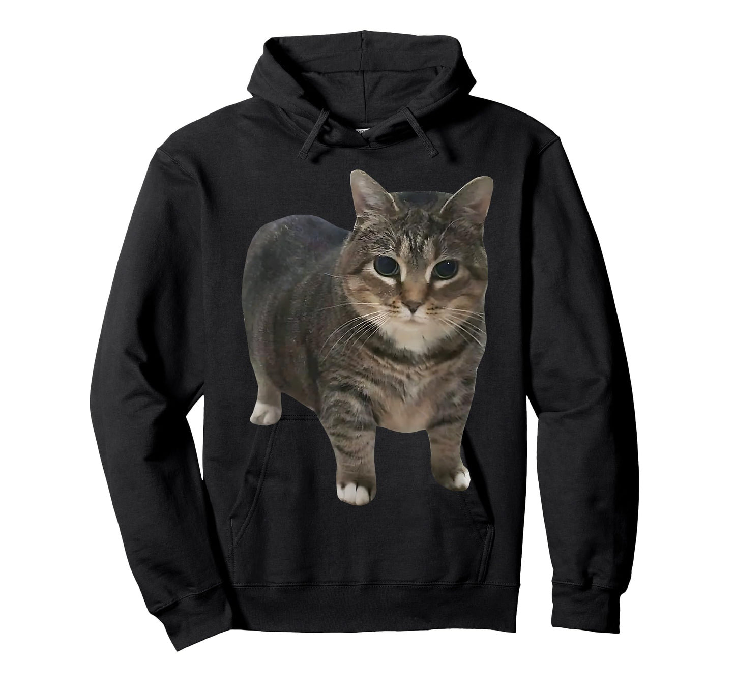oiia oiia Spinning Cat Meme T-Shirt for Men Women