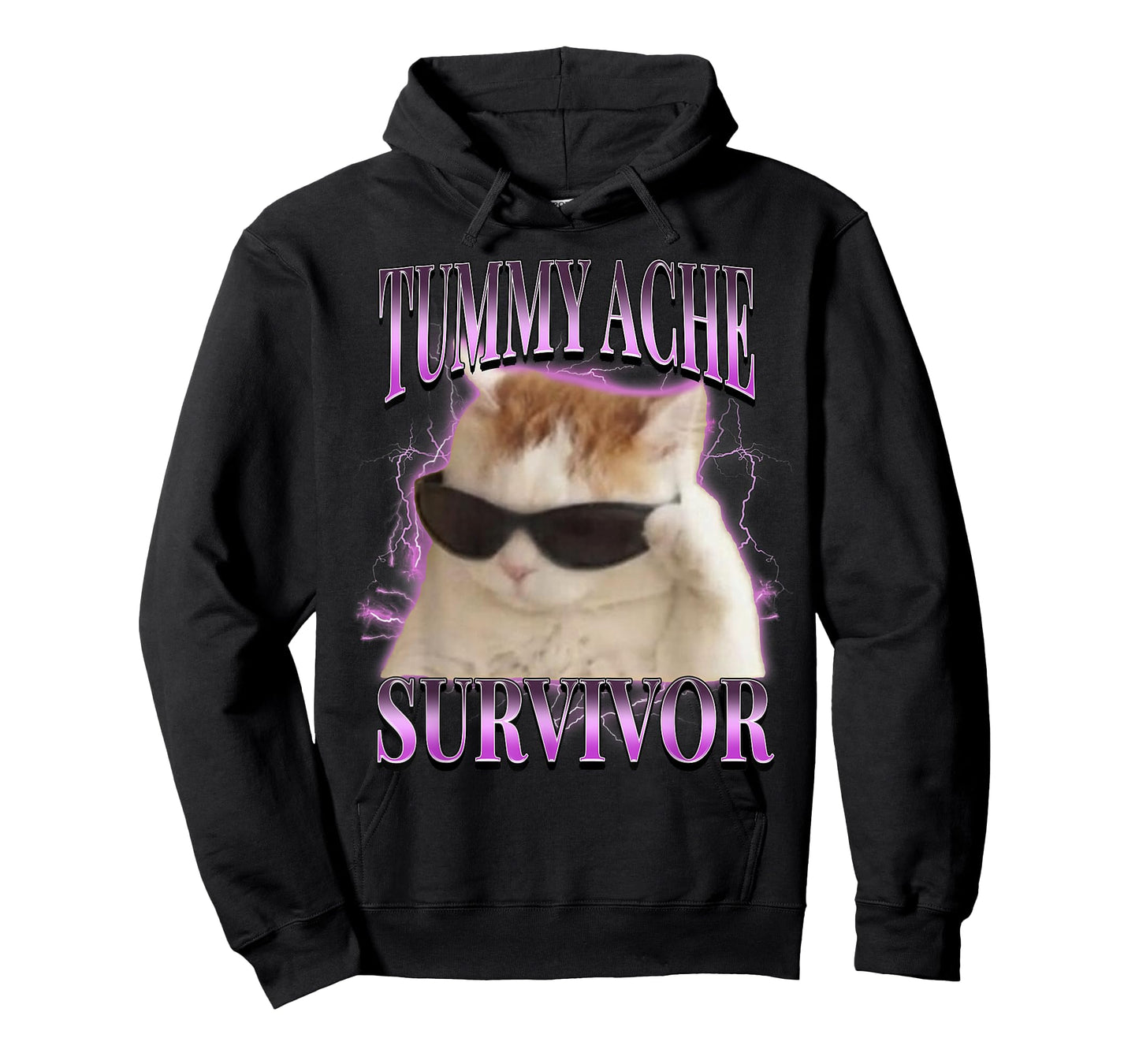 I Survived Today's Tummy Ache Silly Cat Meme Funny Cats T-Shirt
