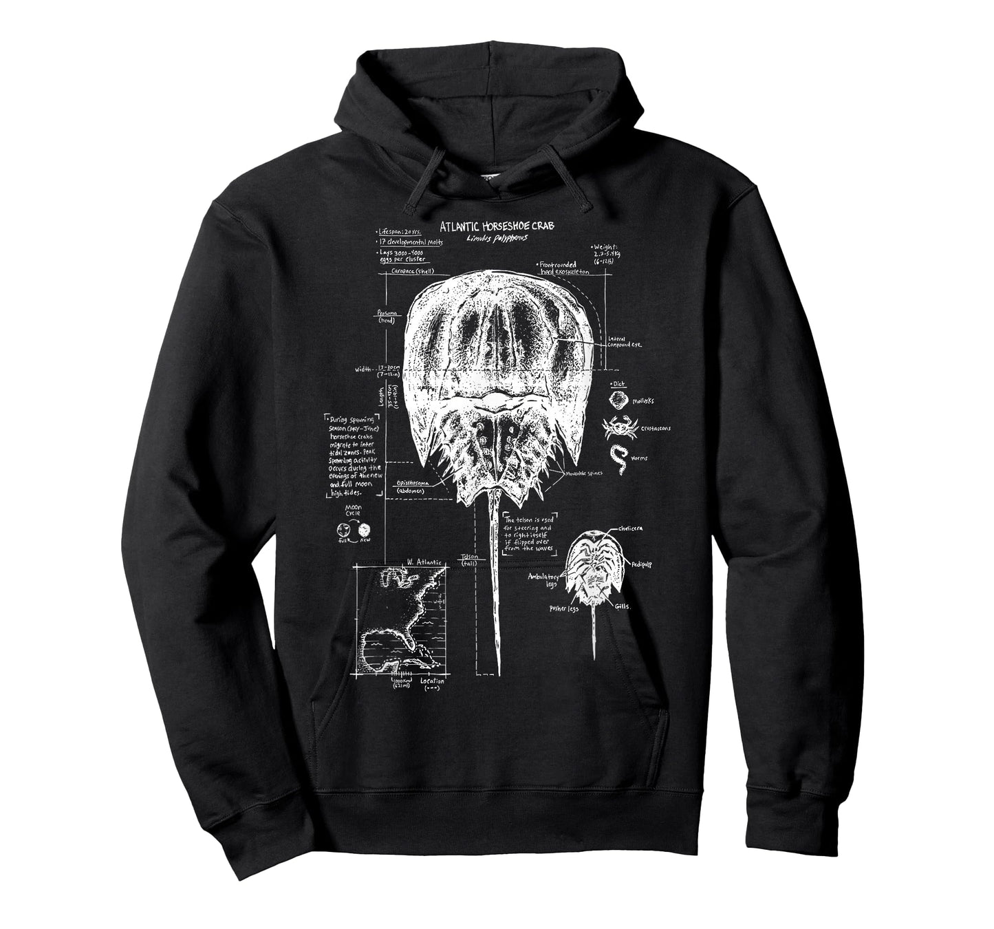Atlantic Horseshoe Crab Anatomy Marine Biology Ocean Animal T-Shirt