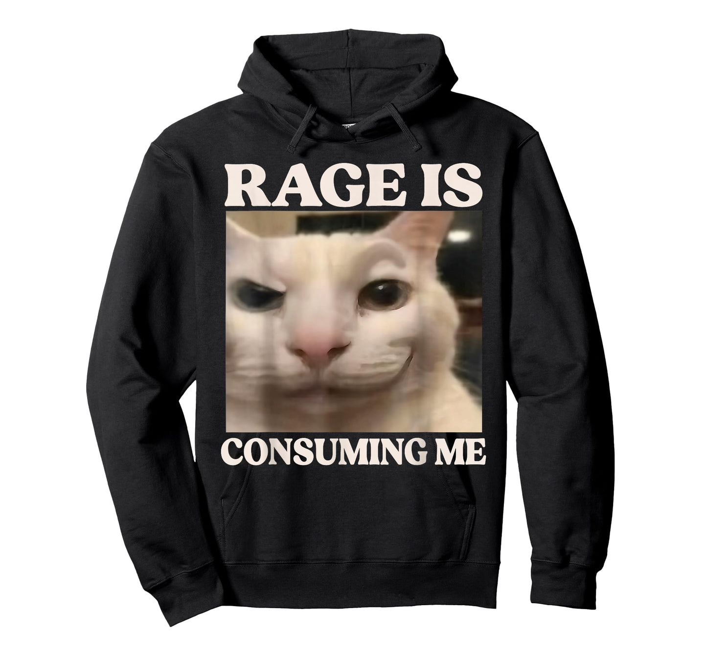 Rage is Consuming Me Cat Silly Cat Meme Rage Consumes Me T-Shirt