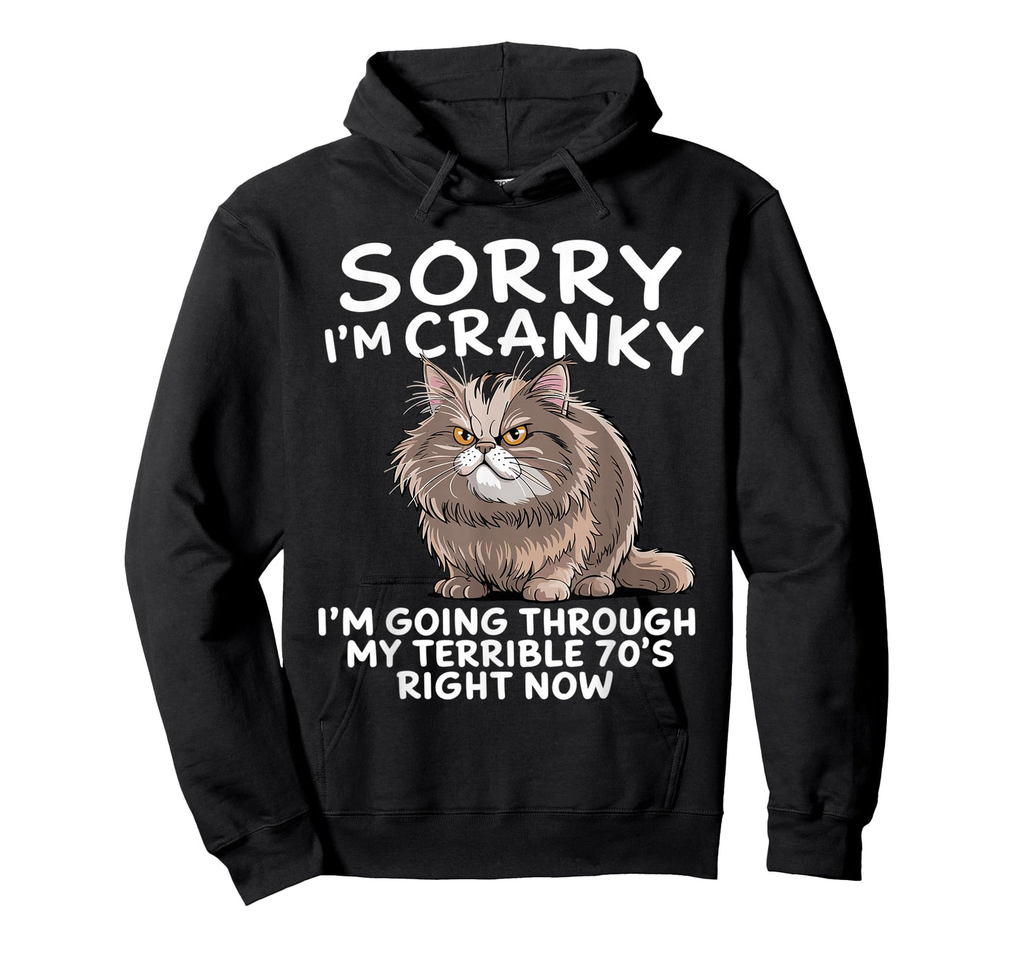 Sorry I Am Cranky I'm Going Through My Terrible Seventies T-Shirt