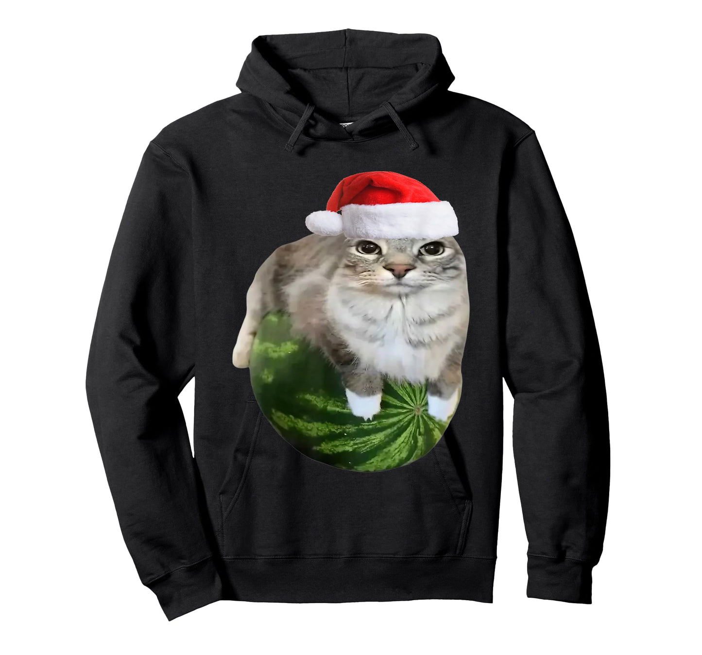 Watermelon Cat Christmas Santa Hat Funny Meme T-Shirt