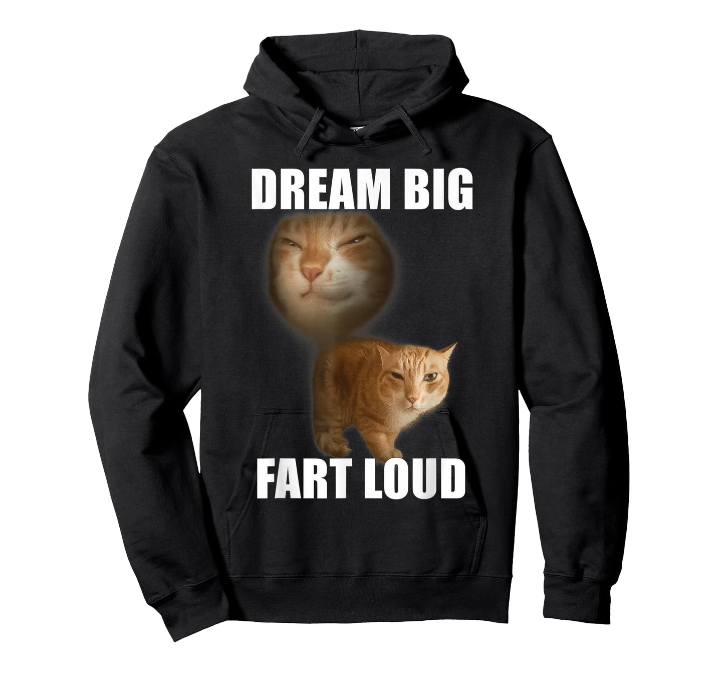 Dream big fart loud funny cat meme T-Shirt