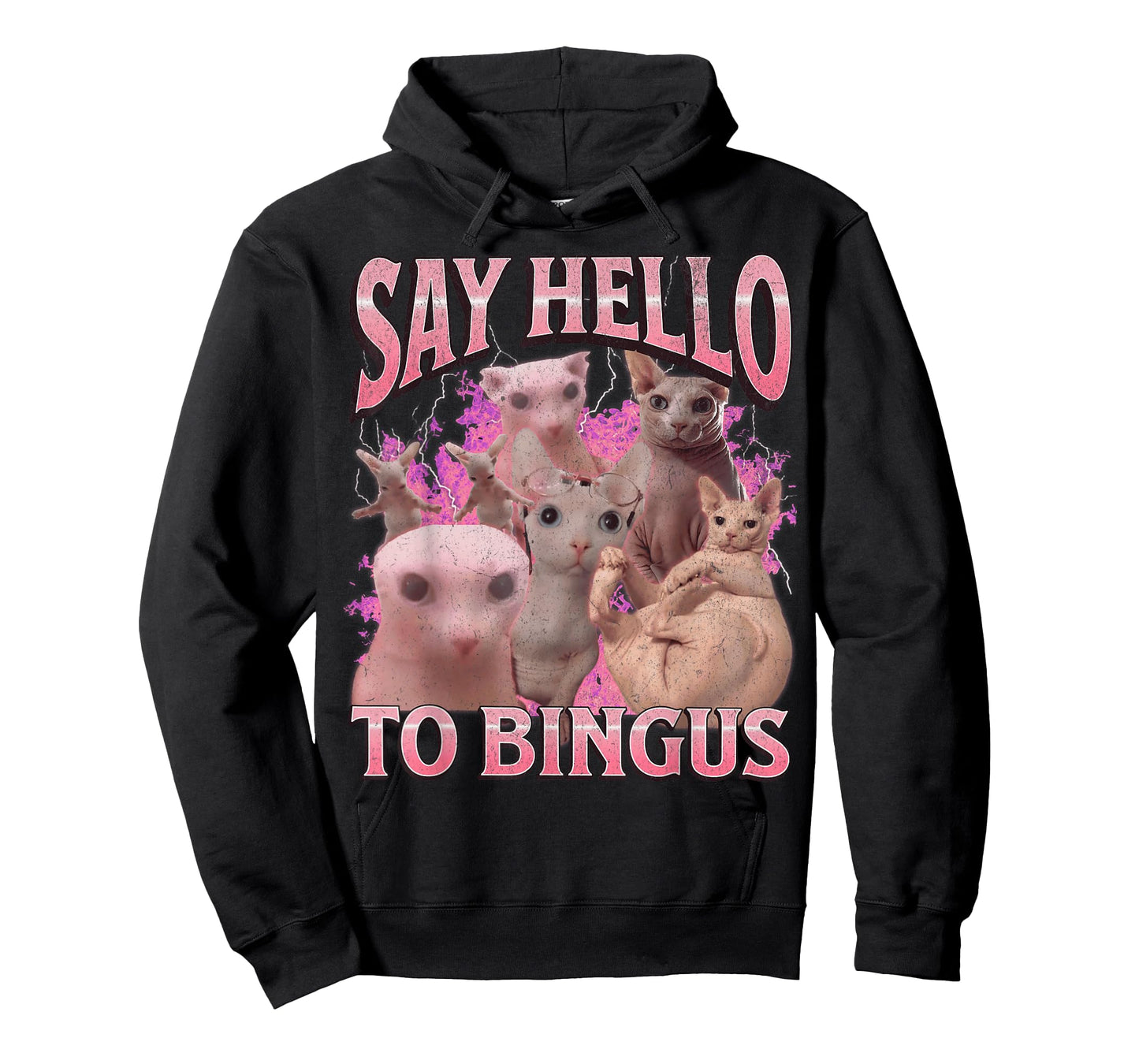 Say Hello To Bingus Funny Sphinx Cat Meme Bootleg Graphic T-Shirt