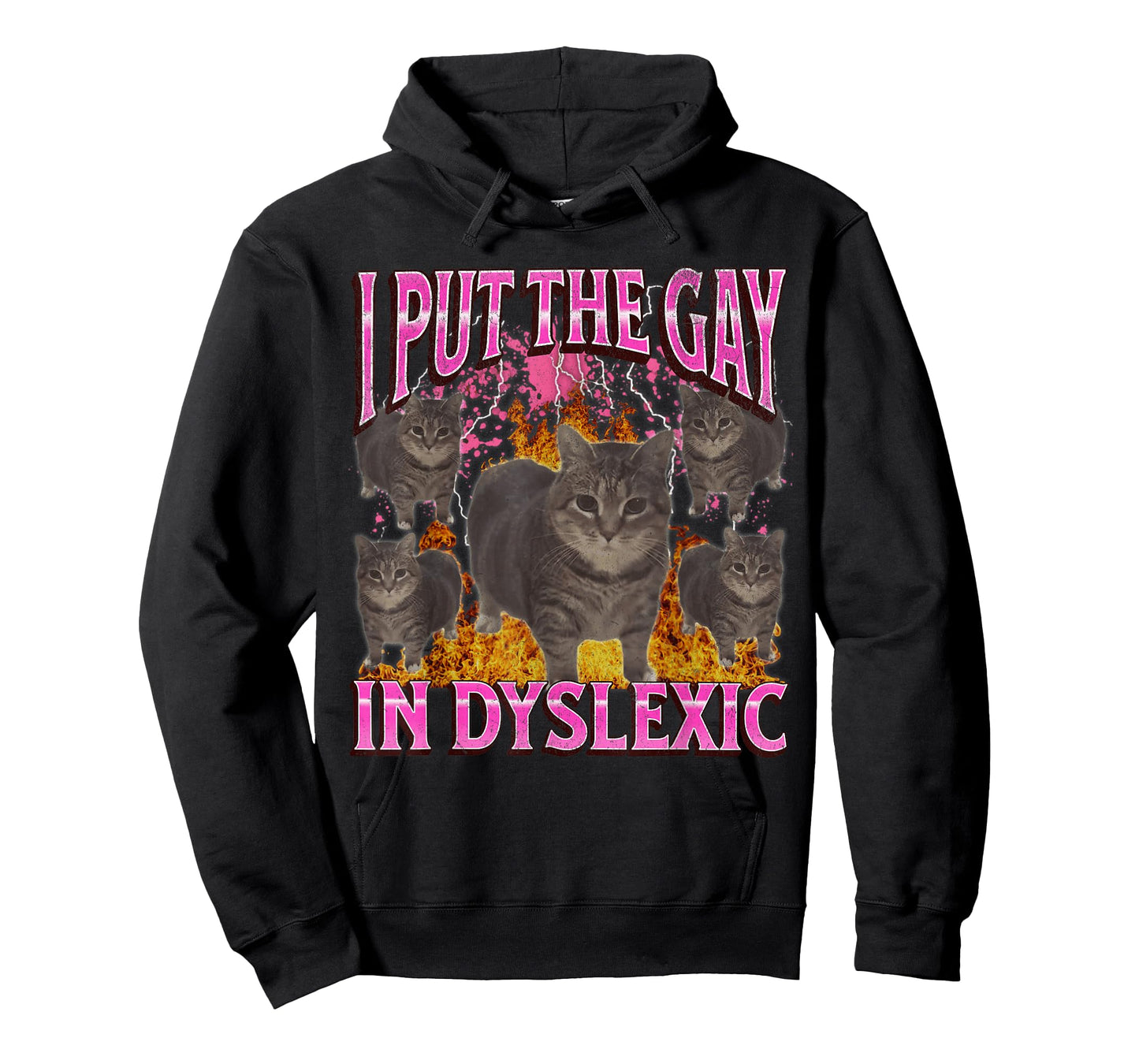 I Put The Gay In Dyslexic Funny Cat Meme Bootleg Graphic T-Shirt