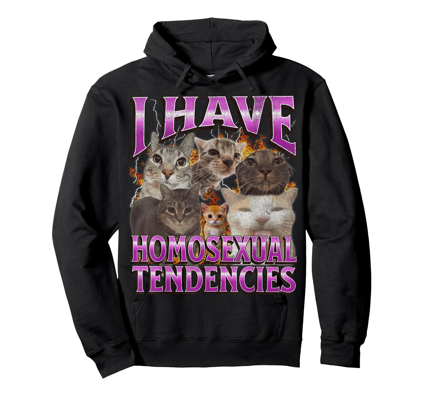 I Have Homosexual Tendencies Funny Cat Meme Bootleg Graphic T-Shirt for Men Women