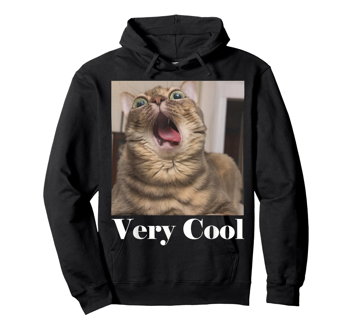 Cats Meme Graphic Silly Cat Humor Funny Cat Very Cool T-Shirt