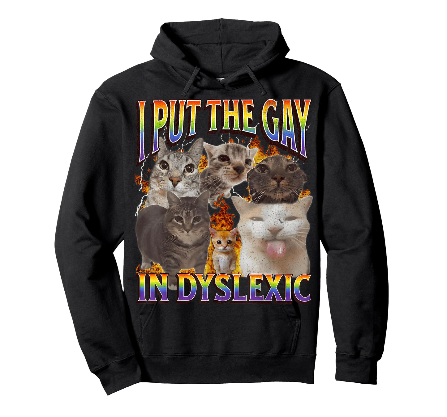 I Put The Gay in Dyslexic Funny Cat Meme Bootleg Funny Retro T-Shirt