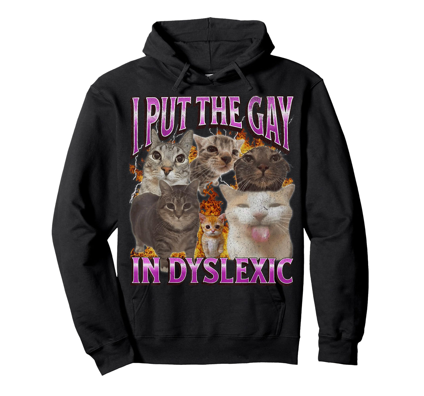 I Put The Gay In Dyslexic Funny Cat Meme Bootleg Graphic Men Women T-Shirt