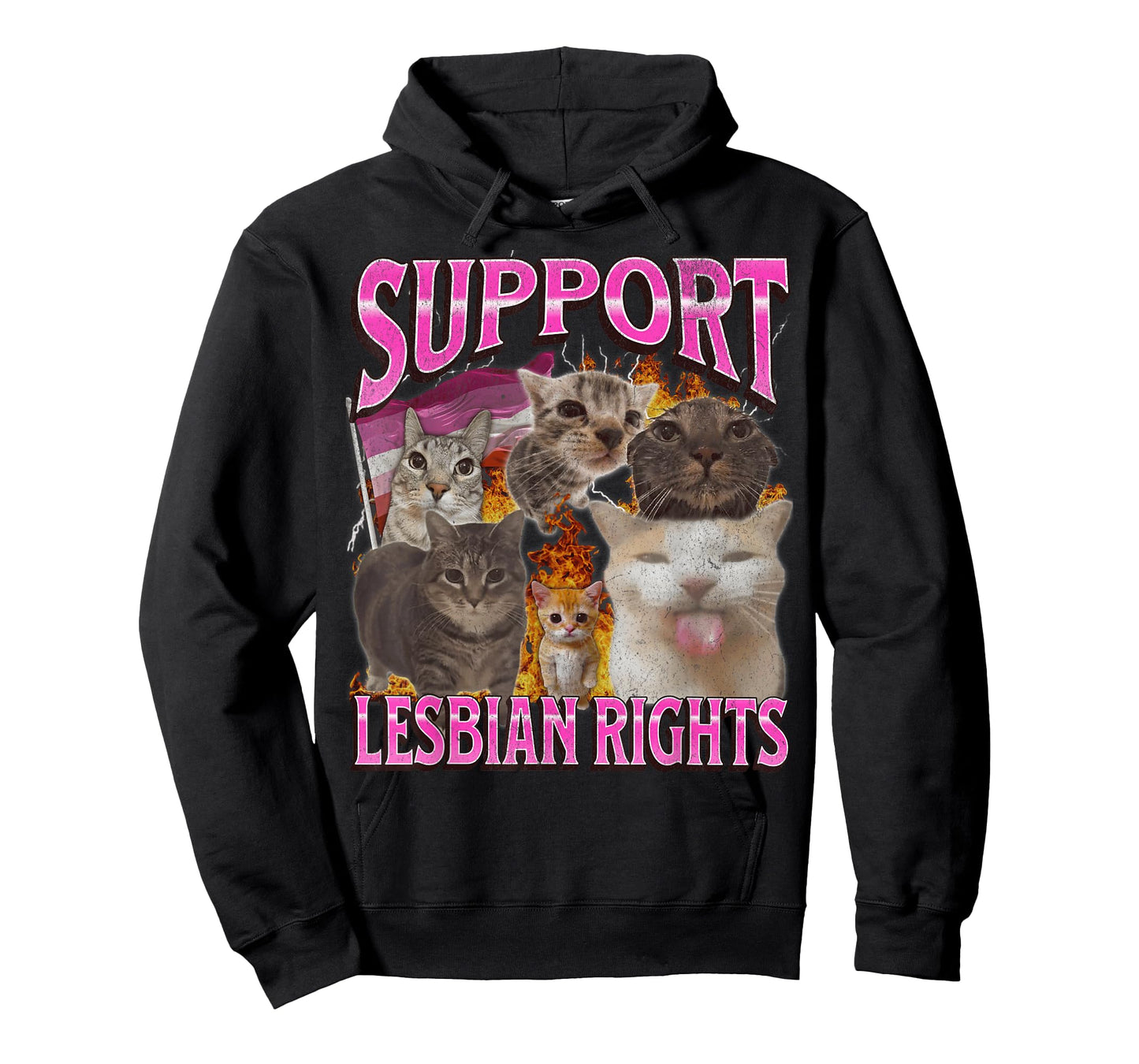 Support Lesbian Rights Funny Gay Cat Meme Bootleg Graphic T-Shirt for Men Women
