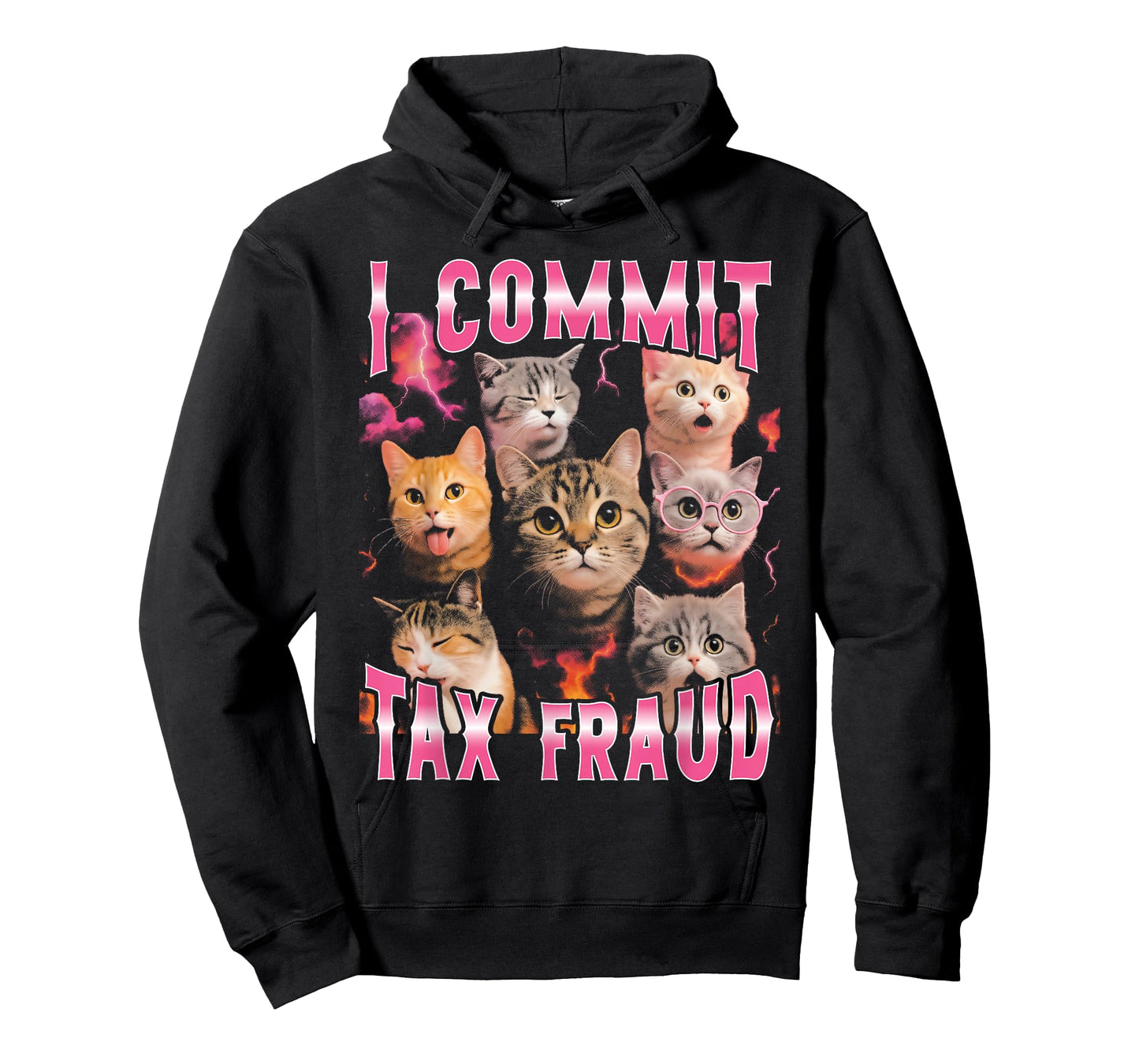 I Commit Tax Fraud Funny Bootleg Cat T-Shirt