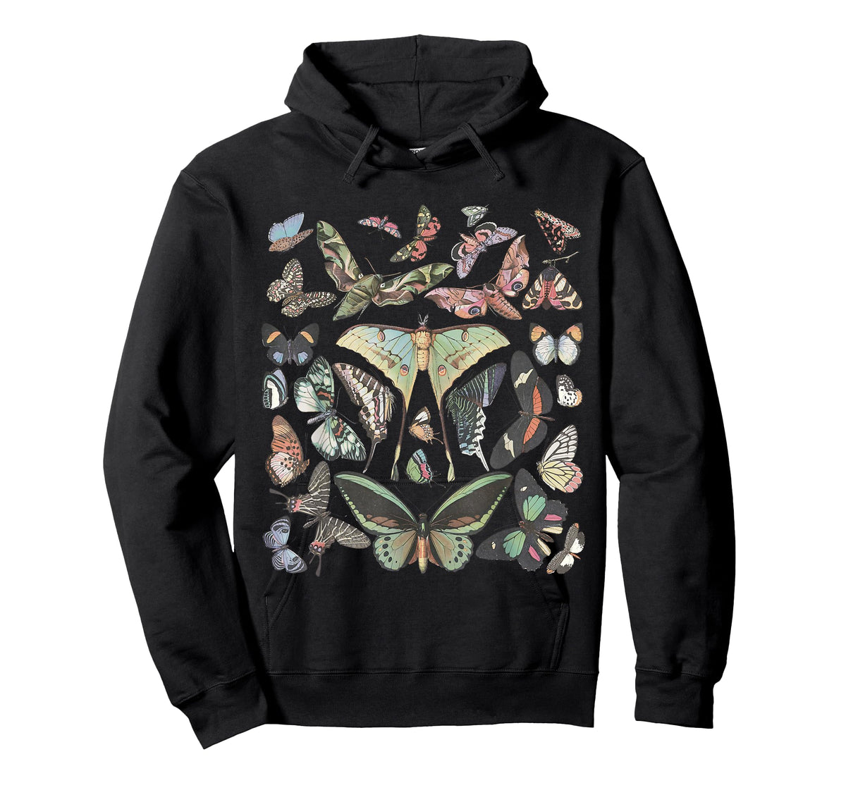 Vintage Butterfly and Moth Cute Graphic for Teacher Womens T-Shirt