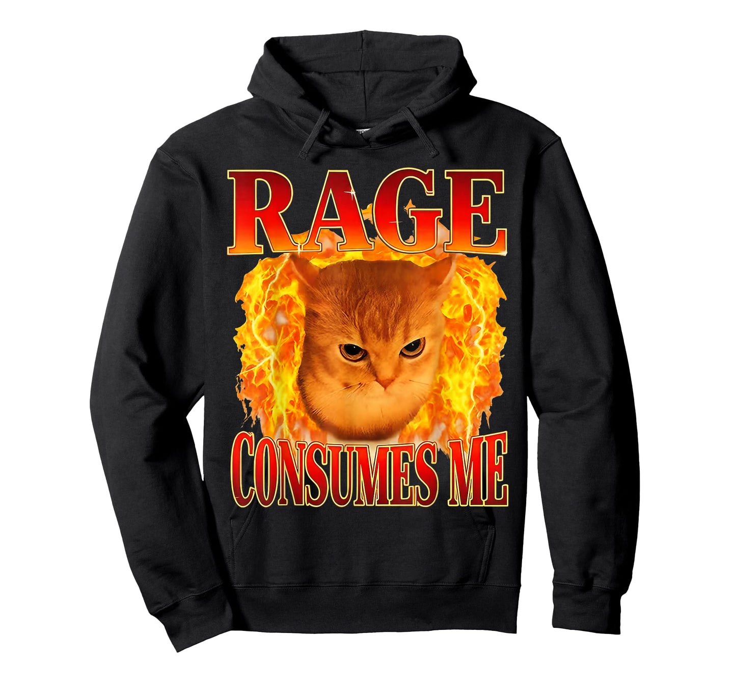 Rage Consumes Me Funny Angry Cat Meme Fire Graphic T-Shirt