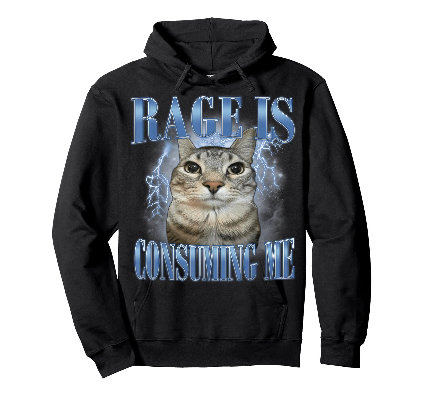Rage is Consuming Me Silly Staring Cat Meme Funny Silly Cats T-Shirt
