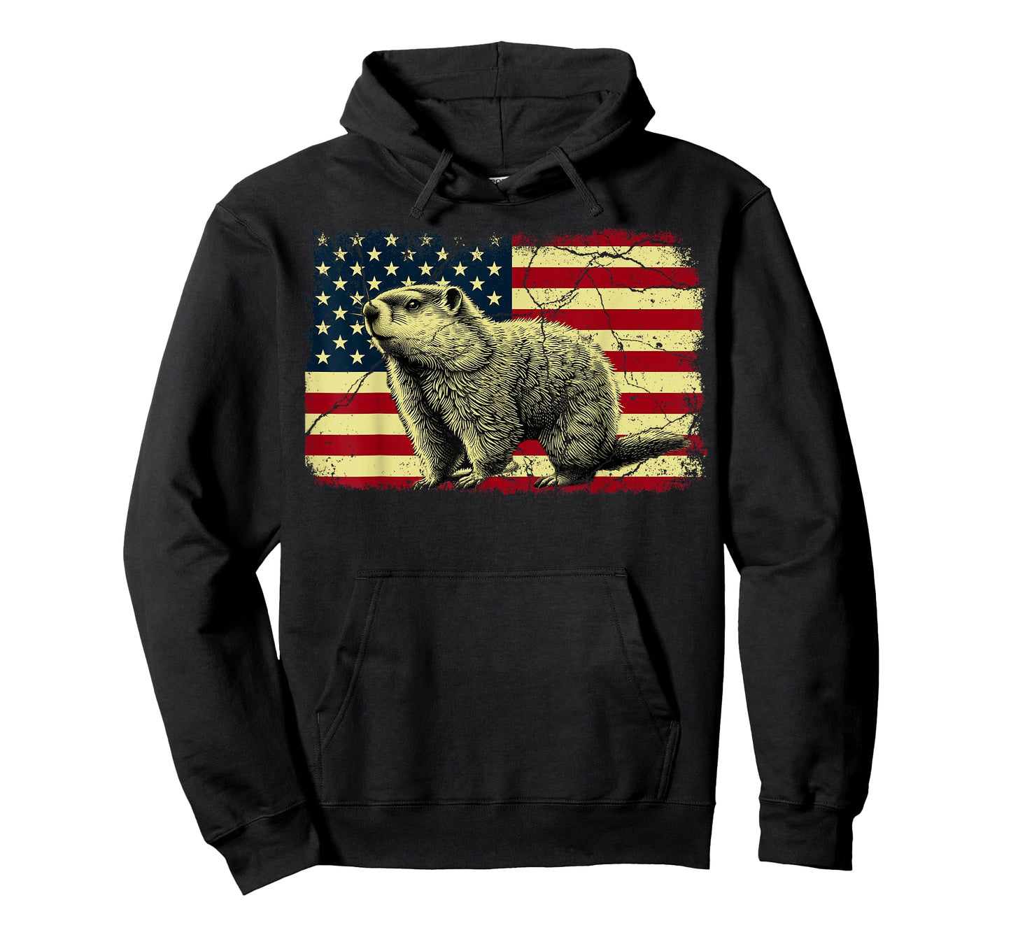 Punxsy Phil American Flag Groundhog Day For Men Women T-Shirt