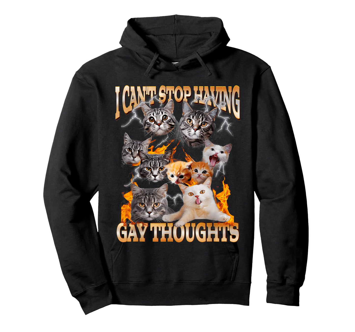 I Can't Stop Having Gay Thoughts Funny Cat Meme Bootleg T-Shirt