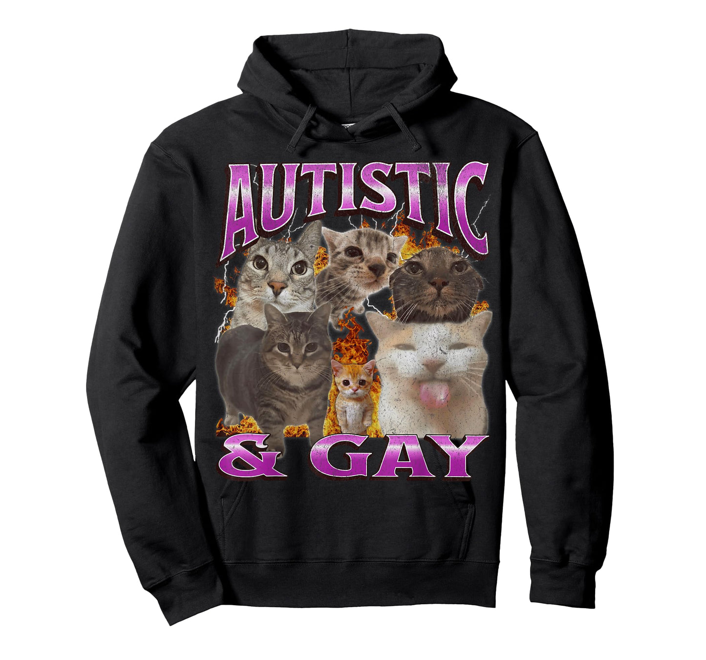 Autistic and Gay Funny Cat Meme Bootleg Graphic T-Shirt