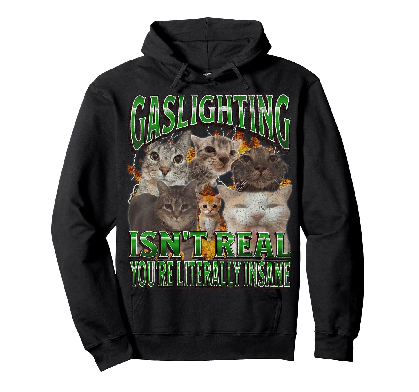 Gaslighting Isn't Real Funny Cat Meme Bootleg Graphic T-Shirt