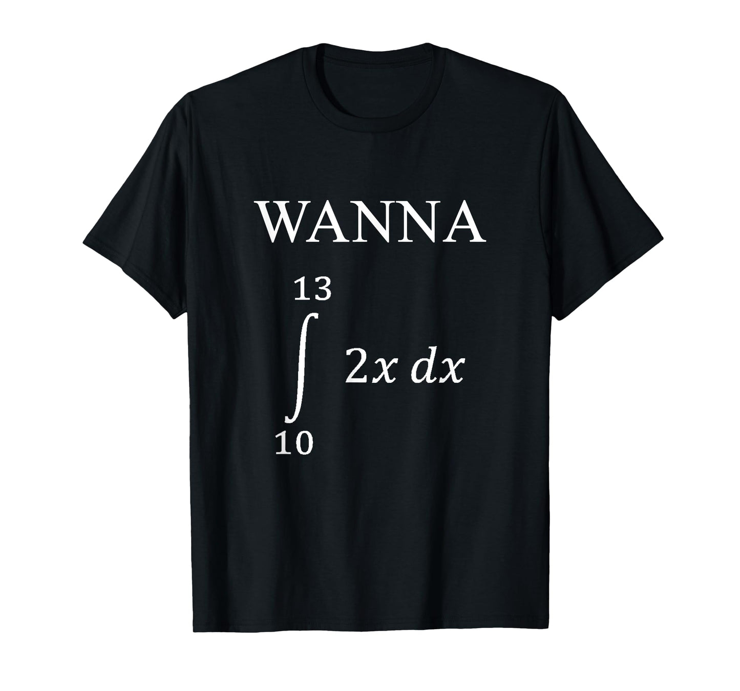 Wanna 69 Integral Differential Function Math Pun T-Shirt