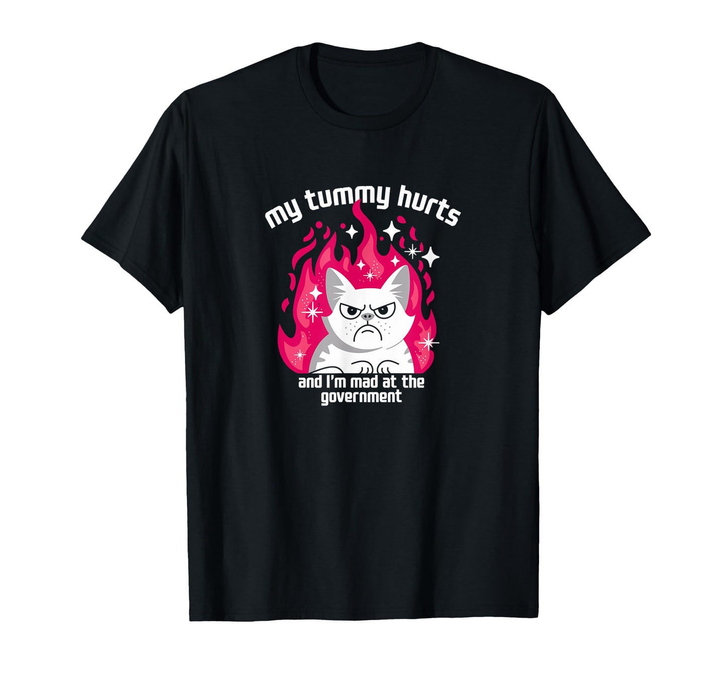 Funny Cat My Tummy Hurts And I’m Mad At The Government T-Shirt