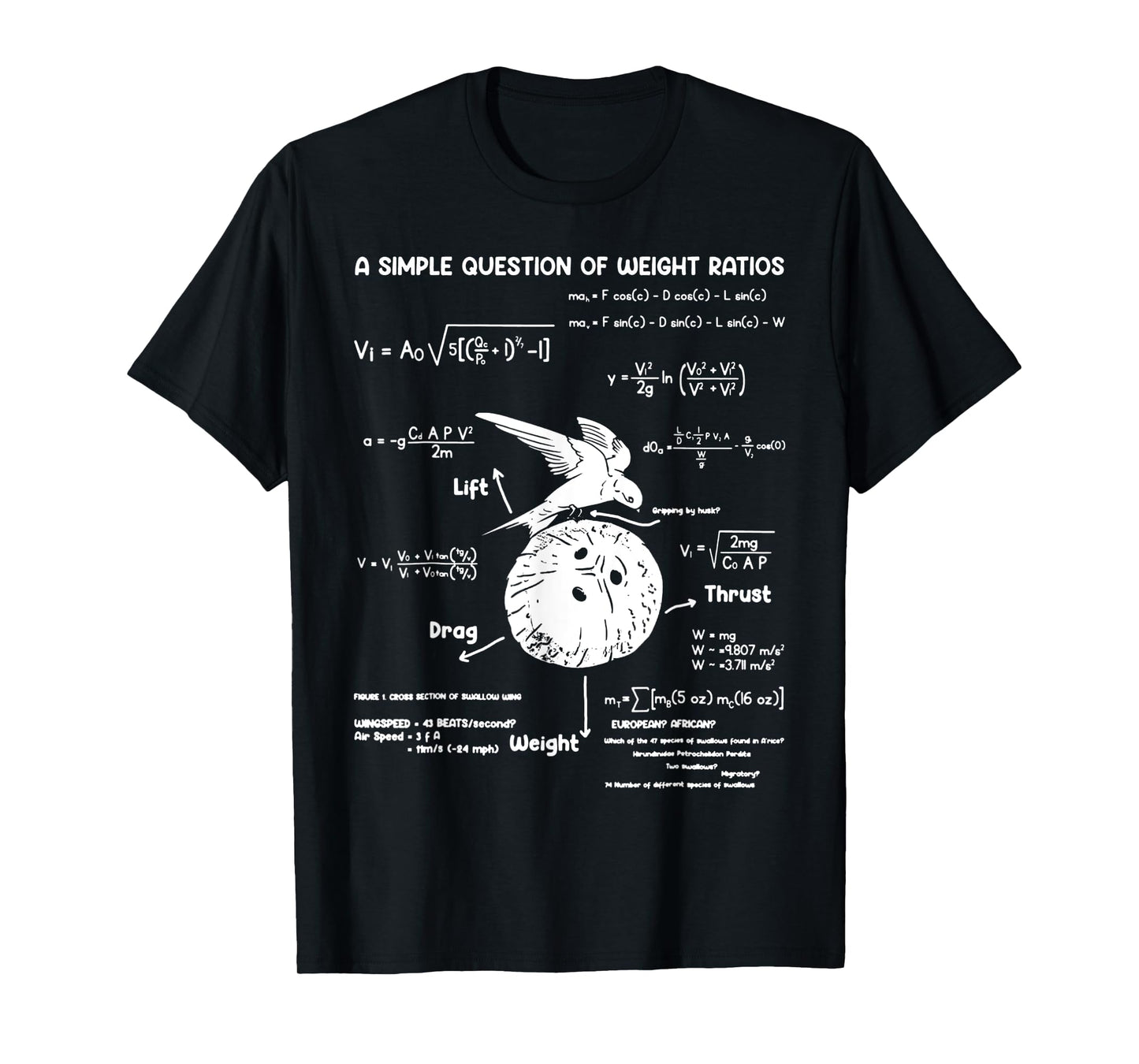 A Simple Question Of Weight Ratios Funny Math Teacher T-Shirt