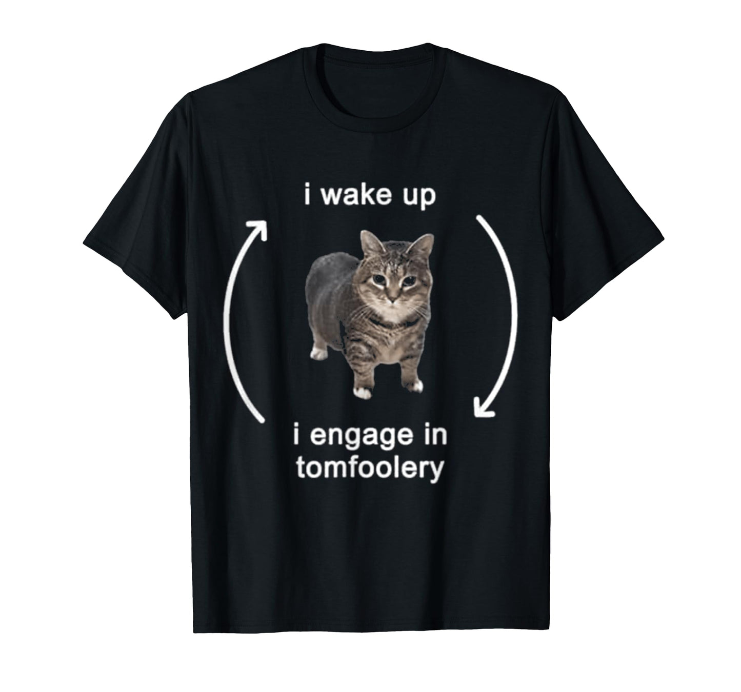 I Wake Up I Engage In Tomfoolery Cat FUNNY MEME T-Shirt for Men Women Kids