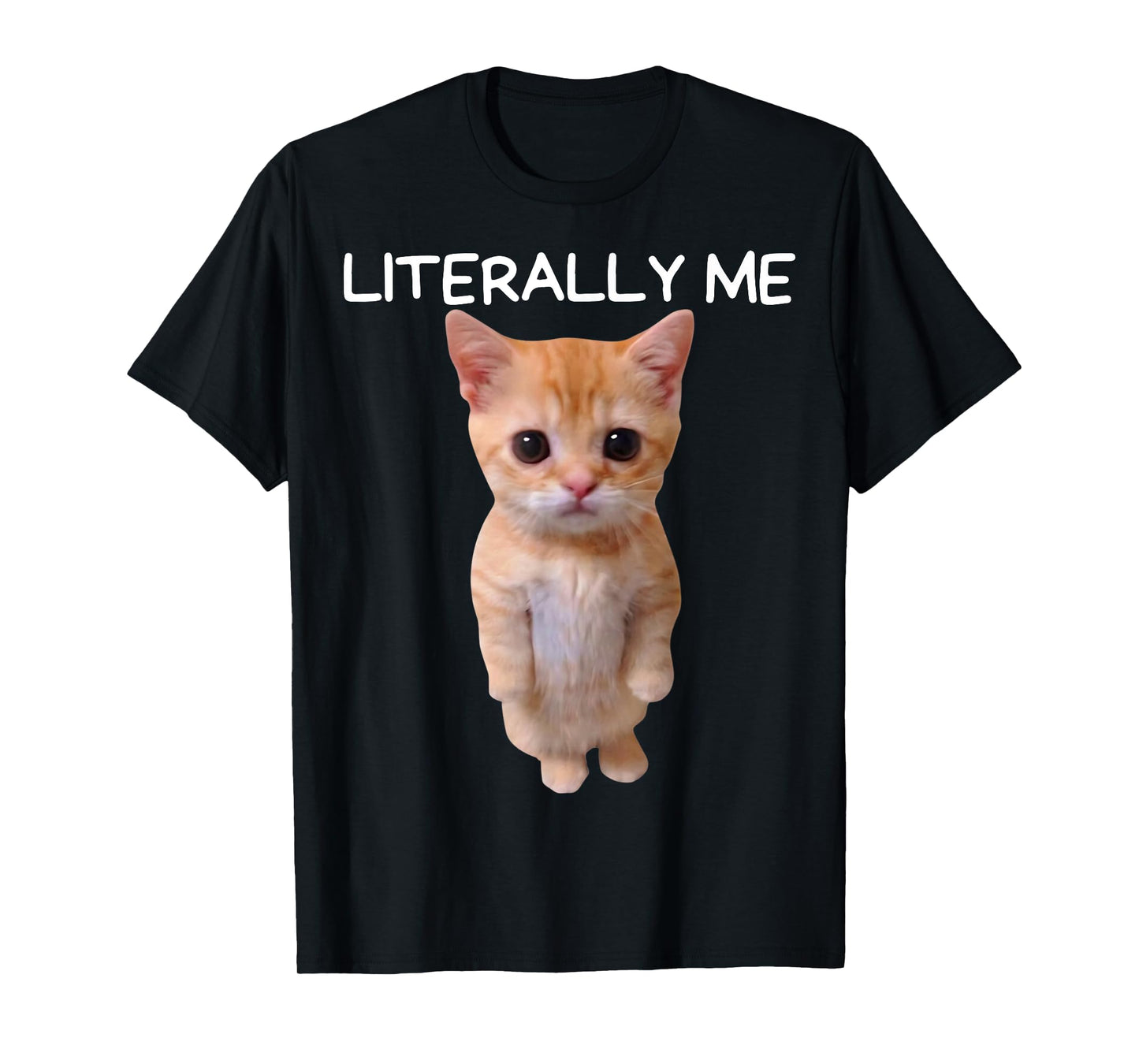 Literally Me Cat Meme Funny Memes Internet Memes Gen Z Joke T-Shirt