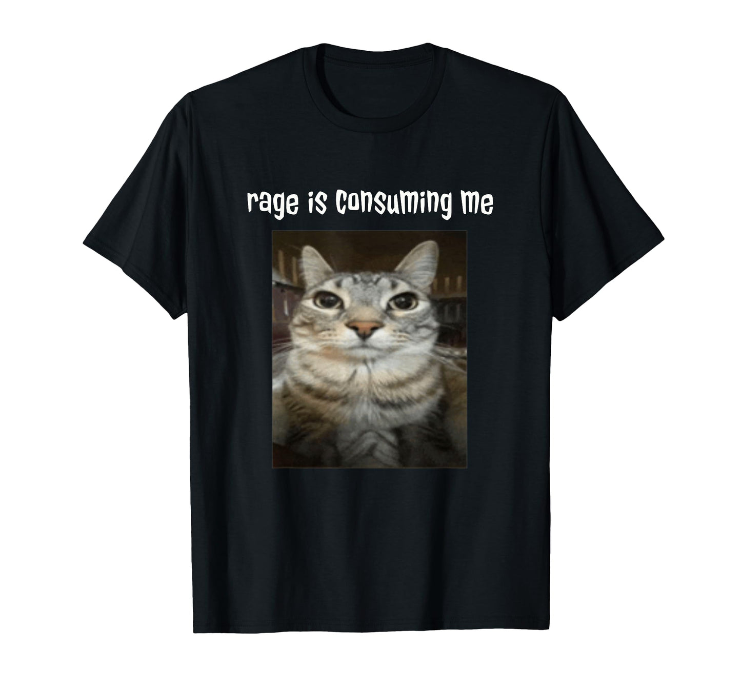 Silly Staring Cat Meme Rage Is Consuming Me T-Shirt