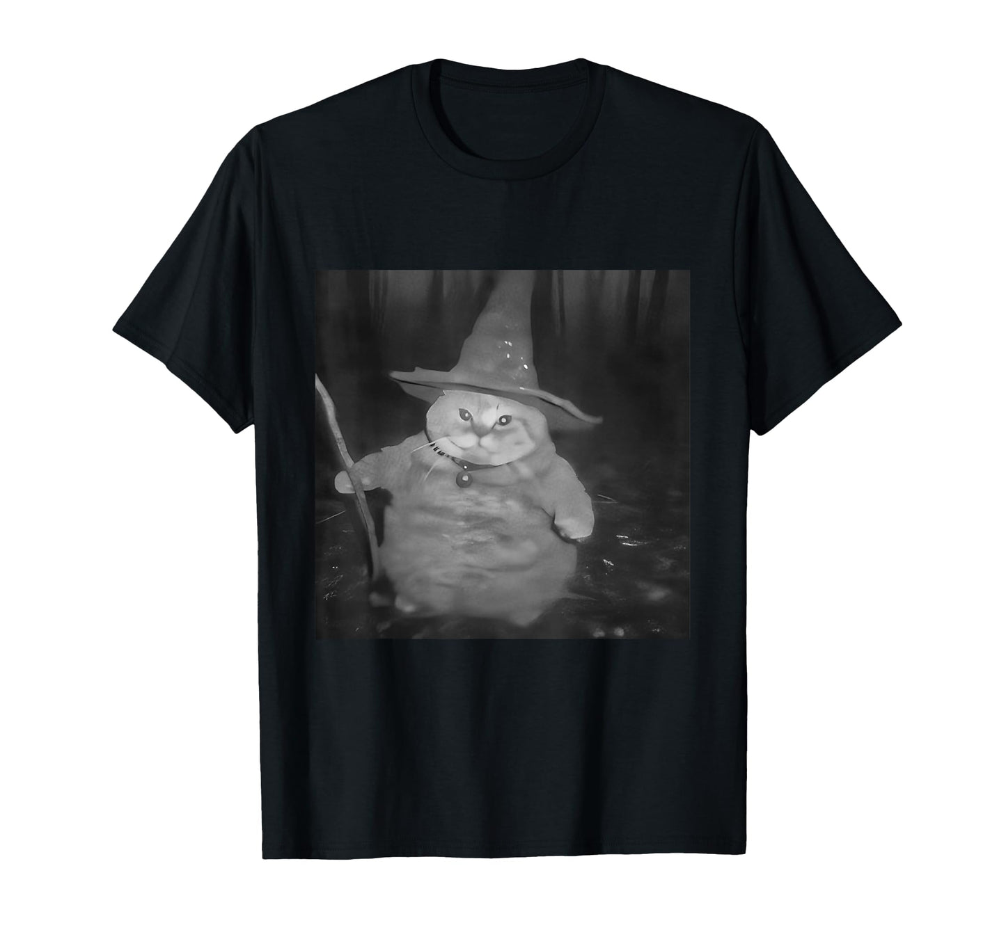 Fat Wizard Cat Fat Kitten Wizard Funny Cat Meme Brain Rot T-Shirt