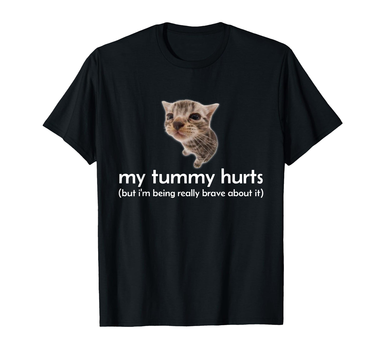 My Tummy Hurts But I'm Being Brave About It Funny Cat Meme T-Shirt for Men Women